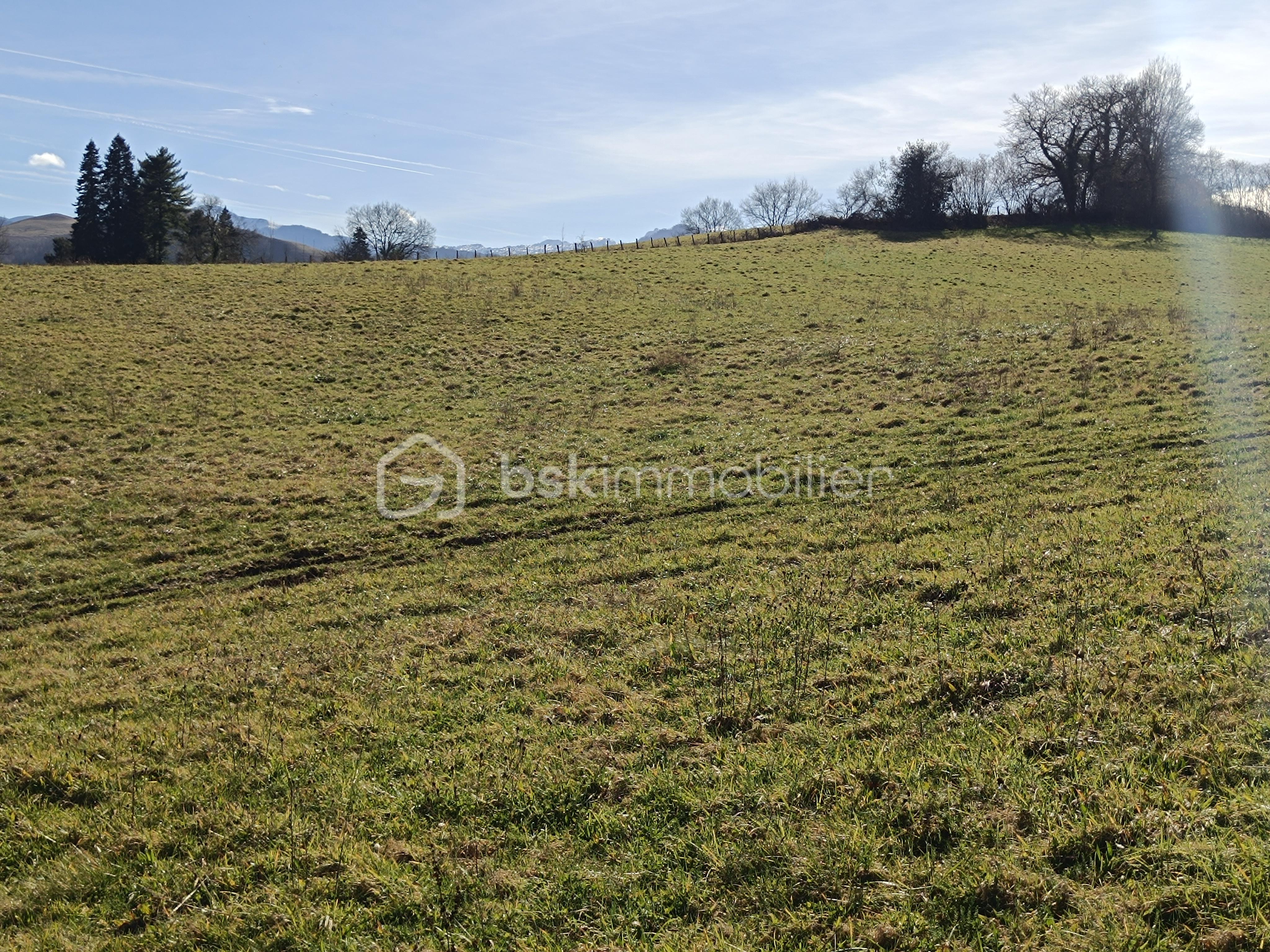 Terrain de 1 230 m² - 1739453237995.jpg