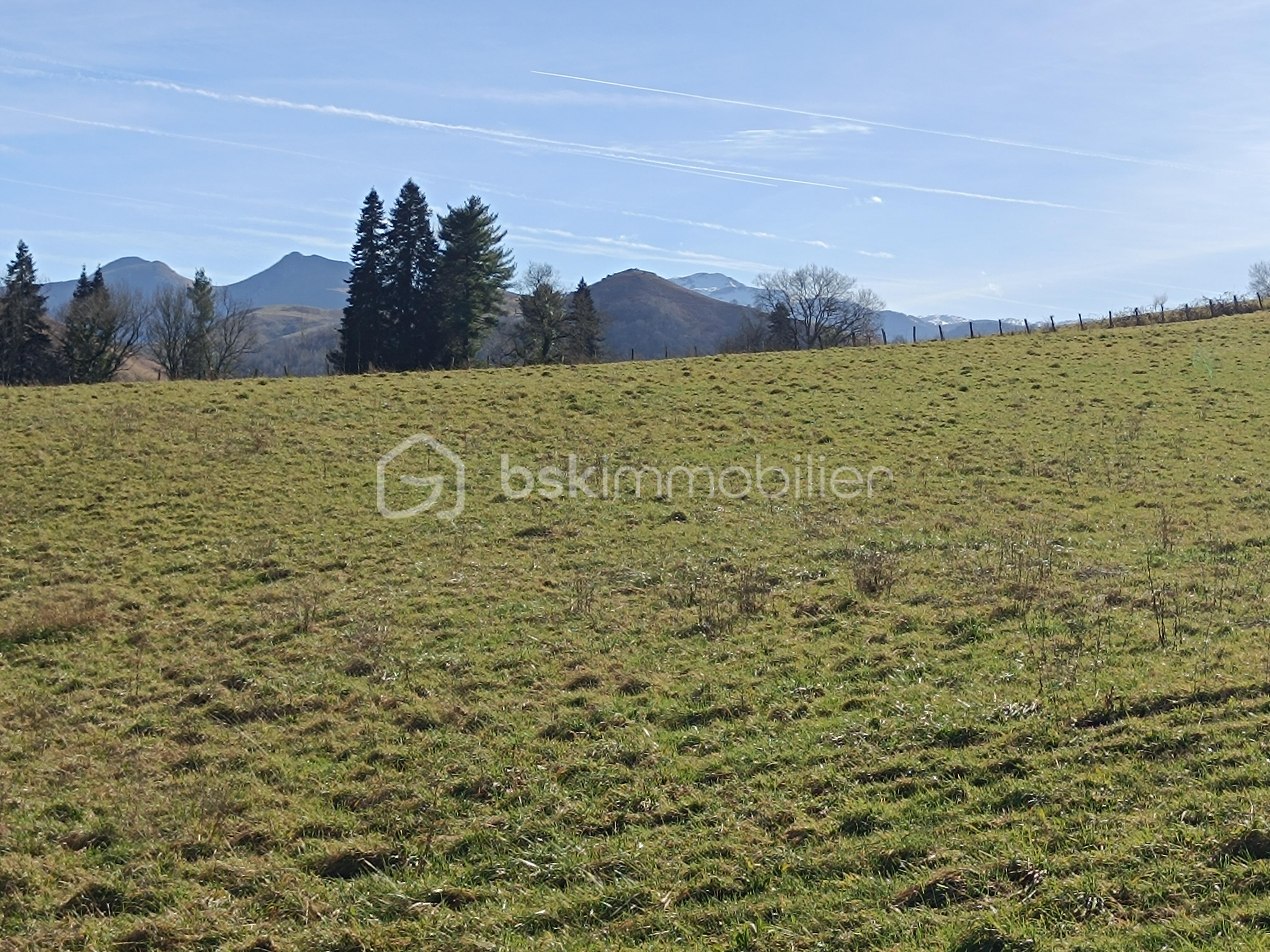 Terrain de 1 230 m² - 1739453219218.jpg