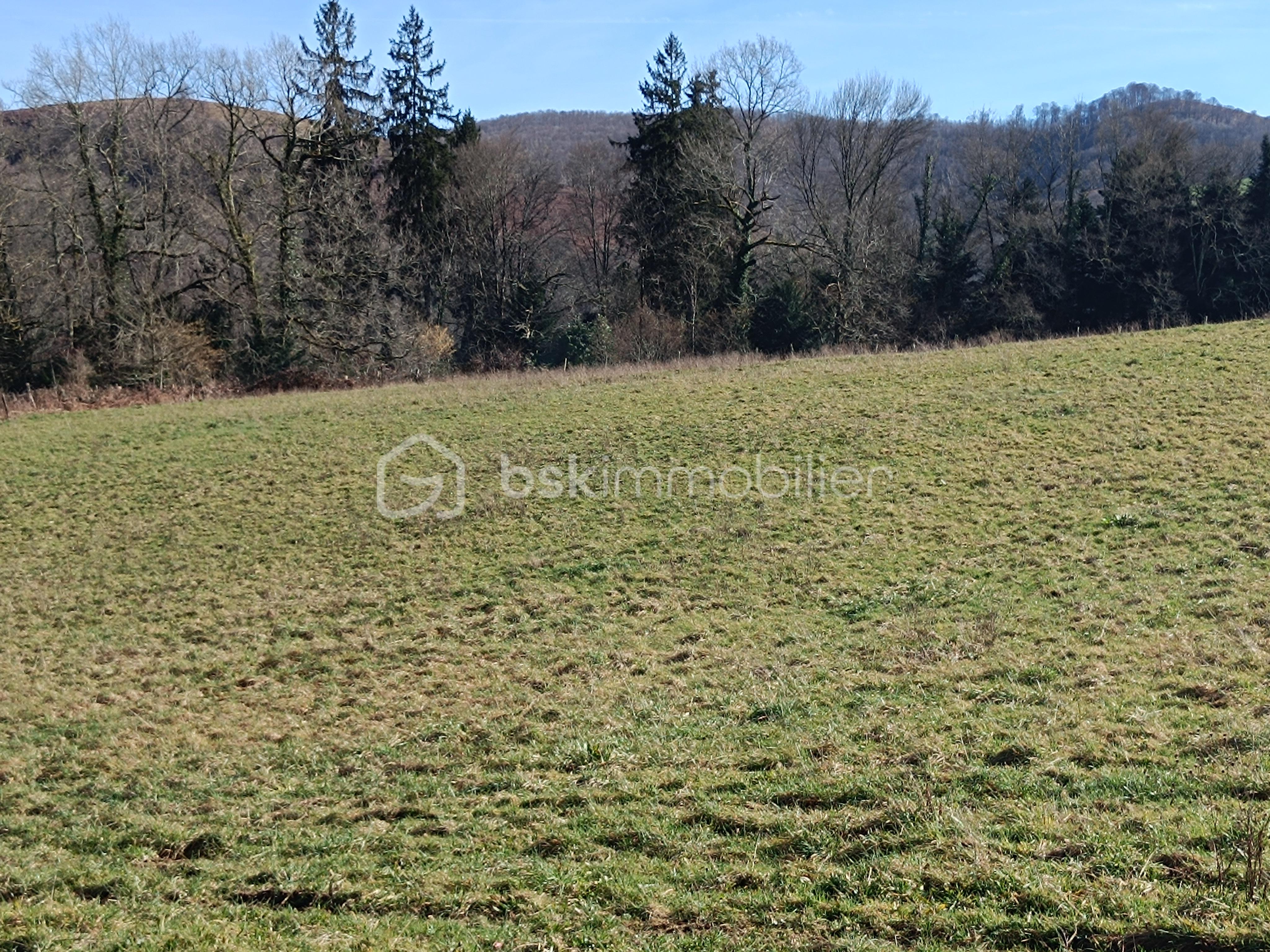 Terrain de 1 230 m² - 1739453219200.jpg