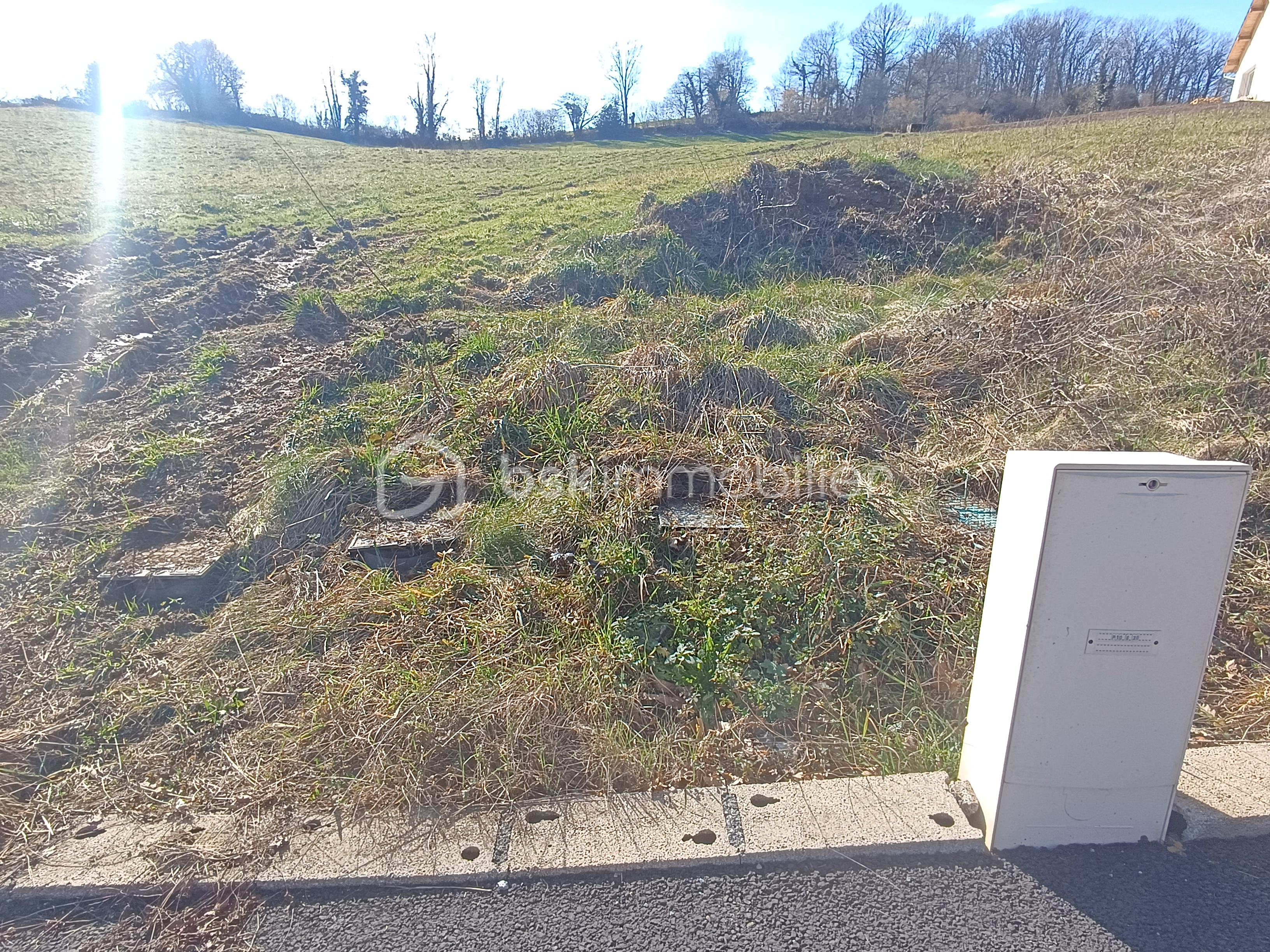 Terrain de 1 230 m² - 1739453237974.jpg