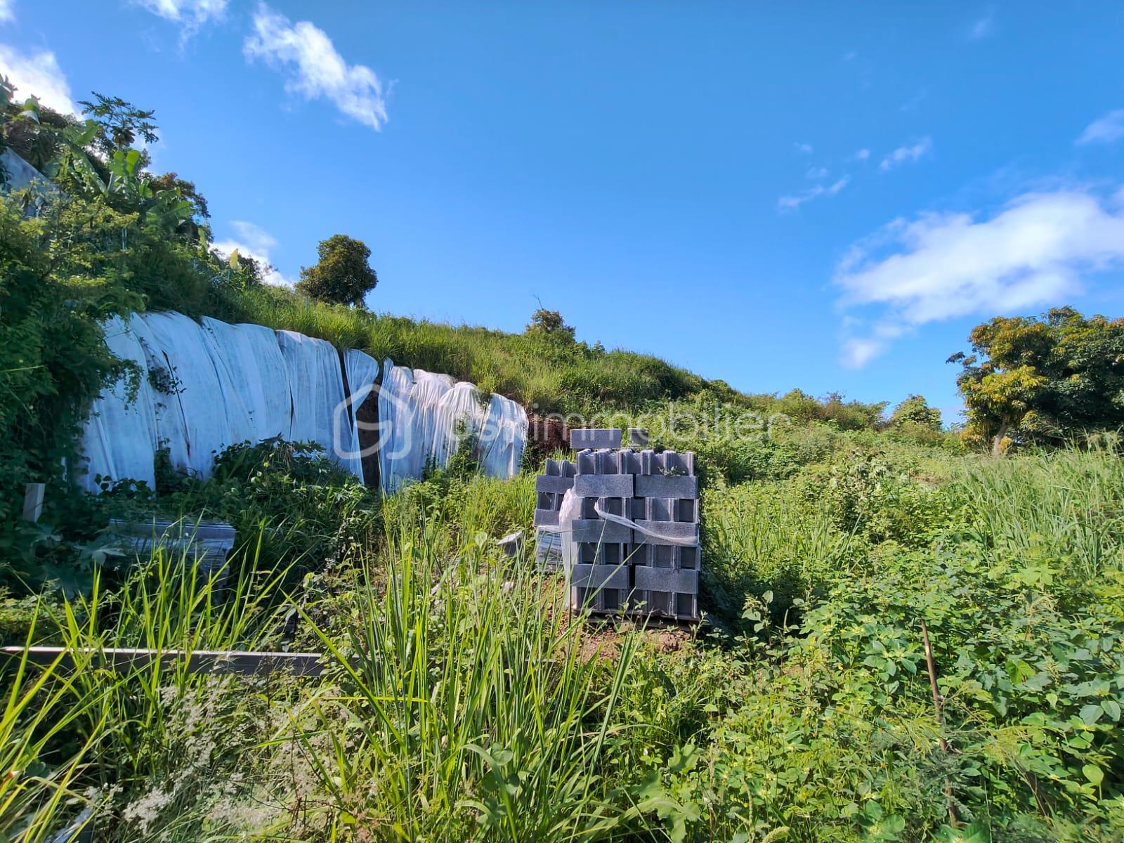 Terrain de 508 m² - WhatsApp Image 2026-01-21 at 10.15.16.jpeg