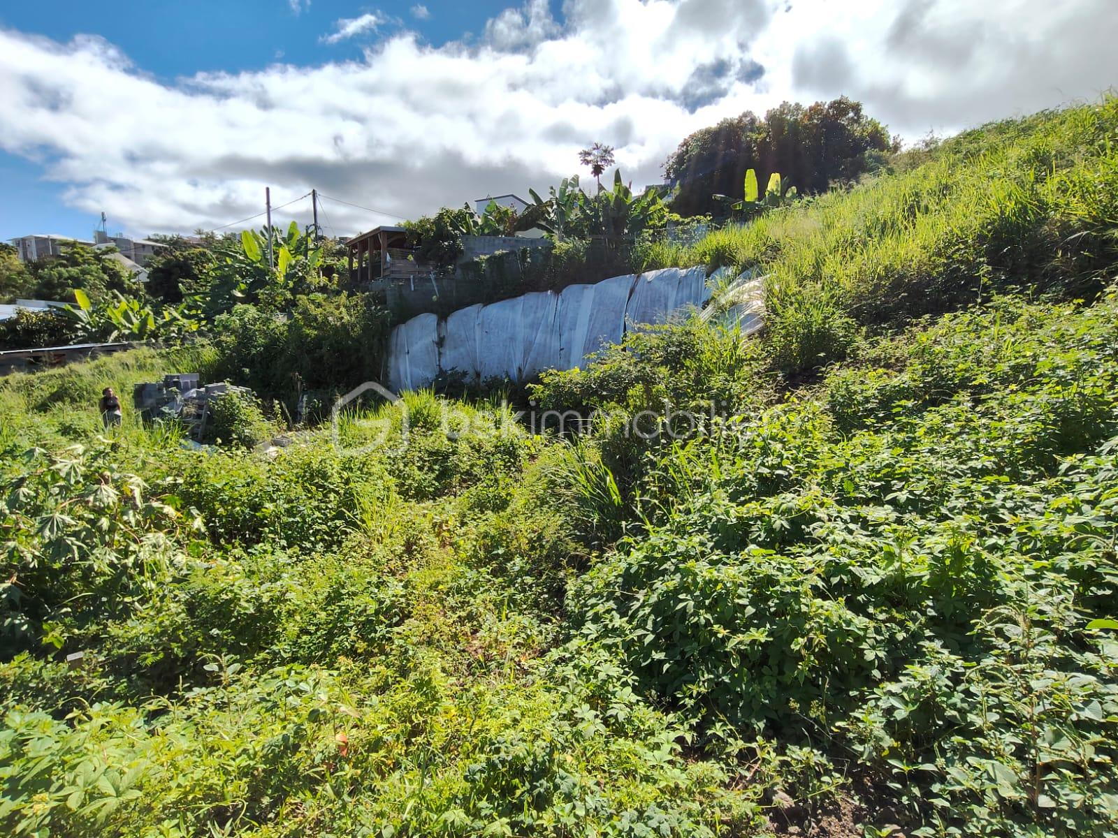 Terrain de 508 m² - WhatsApp Image 2026-01-21 at 10.15.18 (2).jpeg