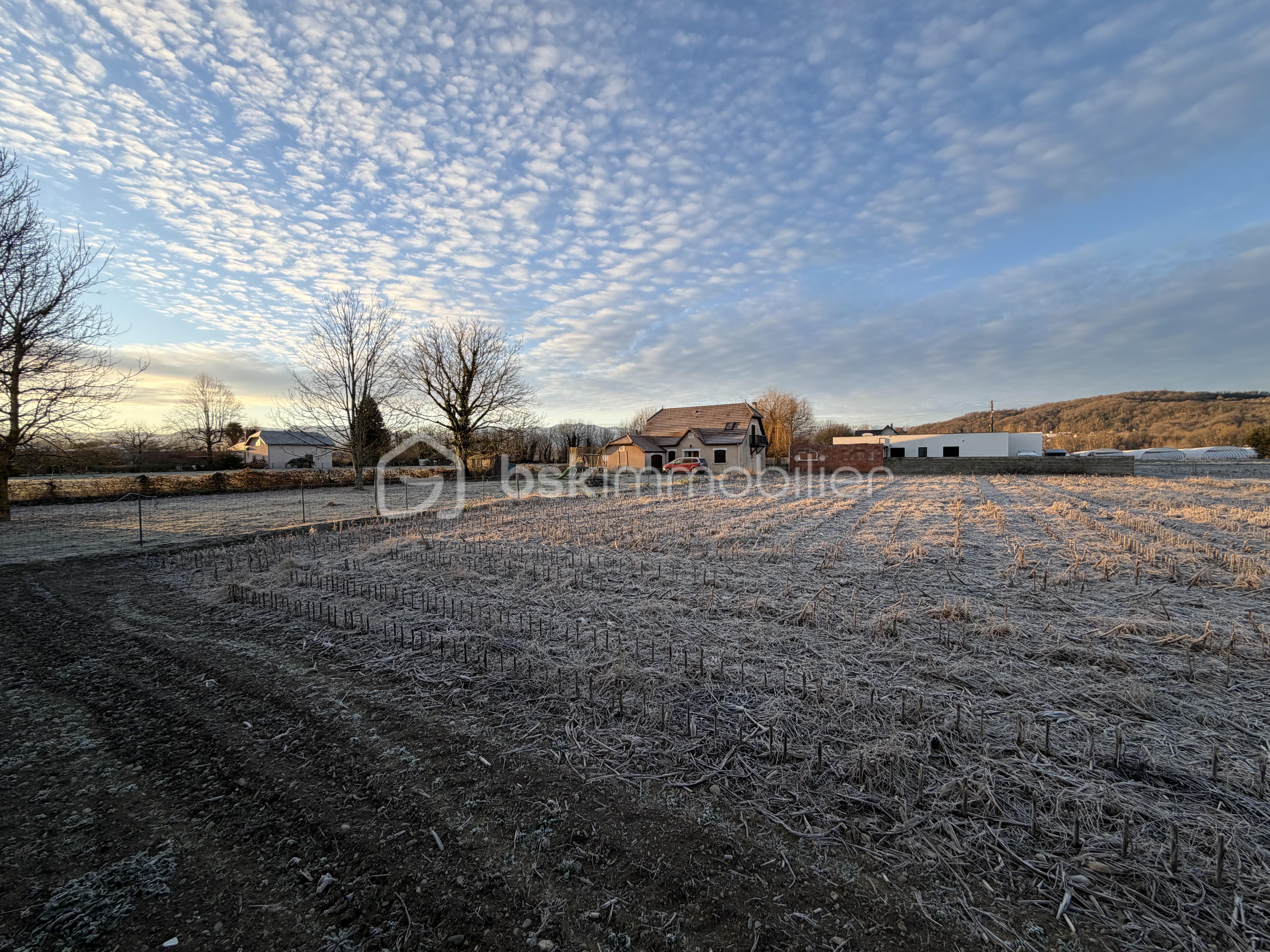 Lotissement de 1 526 m² - 59D325BE-137C-4E26-9A4C-09AA27F264D0.JPG