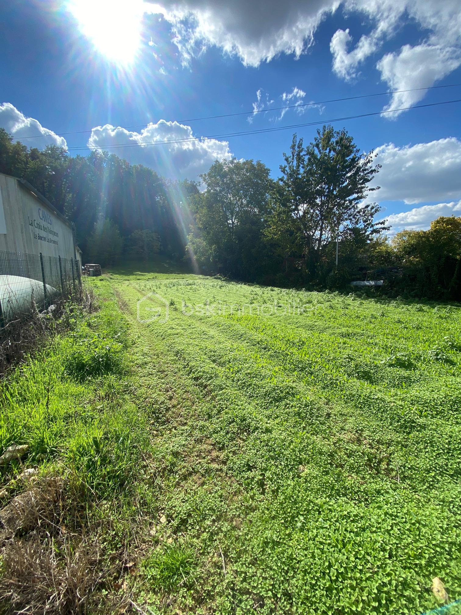 Terrain de 1 007 m² - IMG_6526.JPG