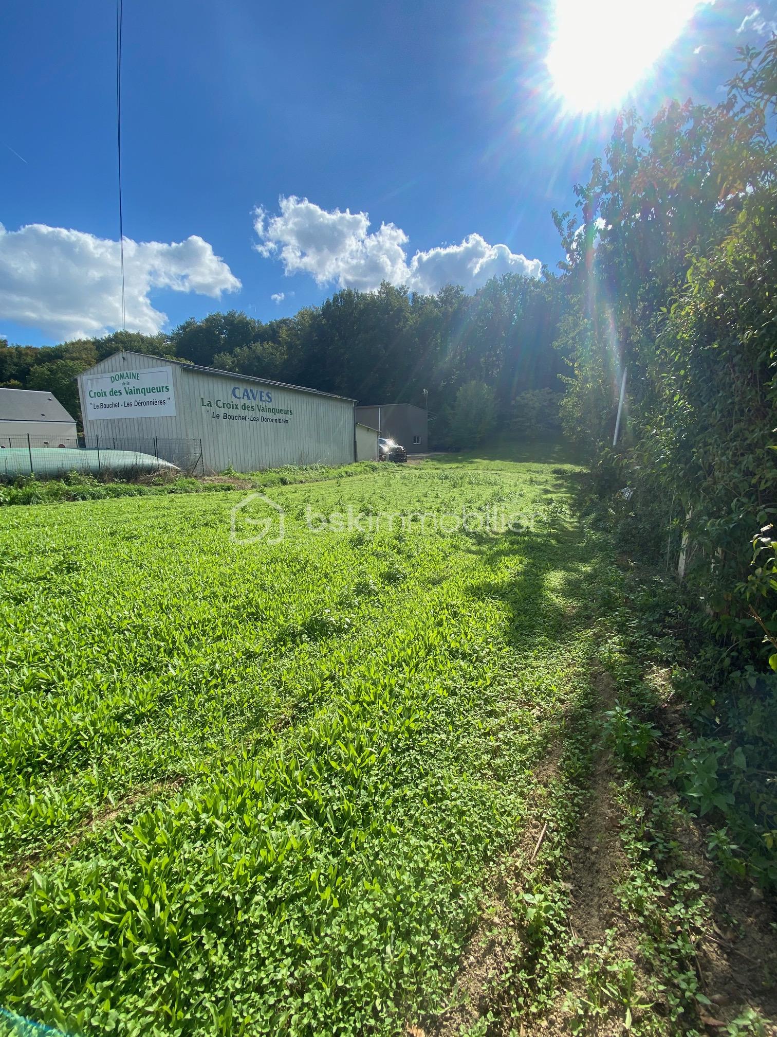 Terrain de 1 007 m² - IMG_6529.JPG