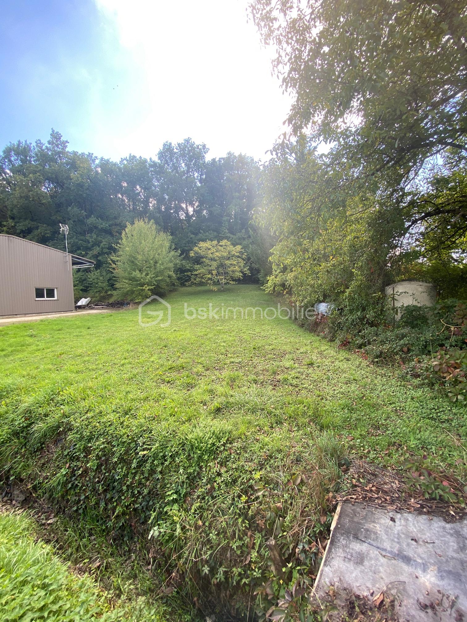 Terrain de 1 007 m² - IMG_6546.JPG