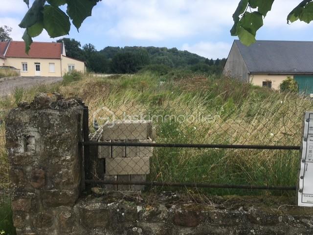 Terrain de 600 m² - thumbnail_IMG_8103.jpg