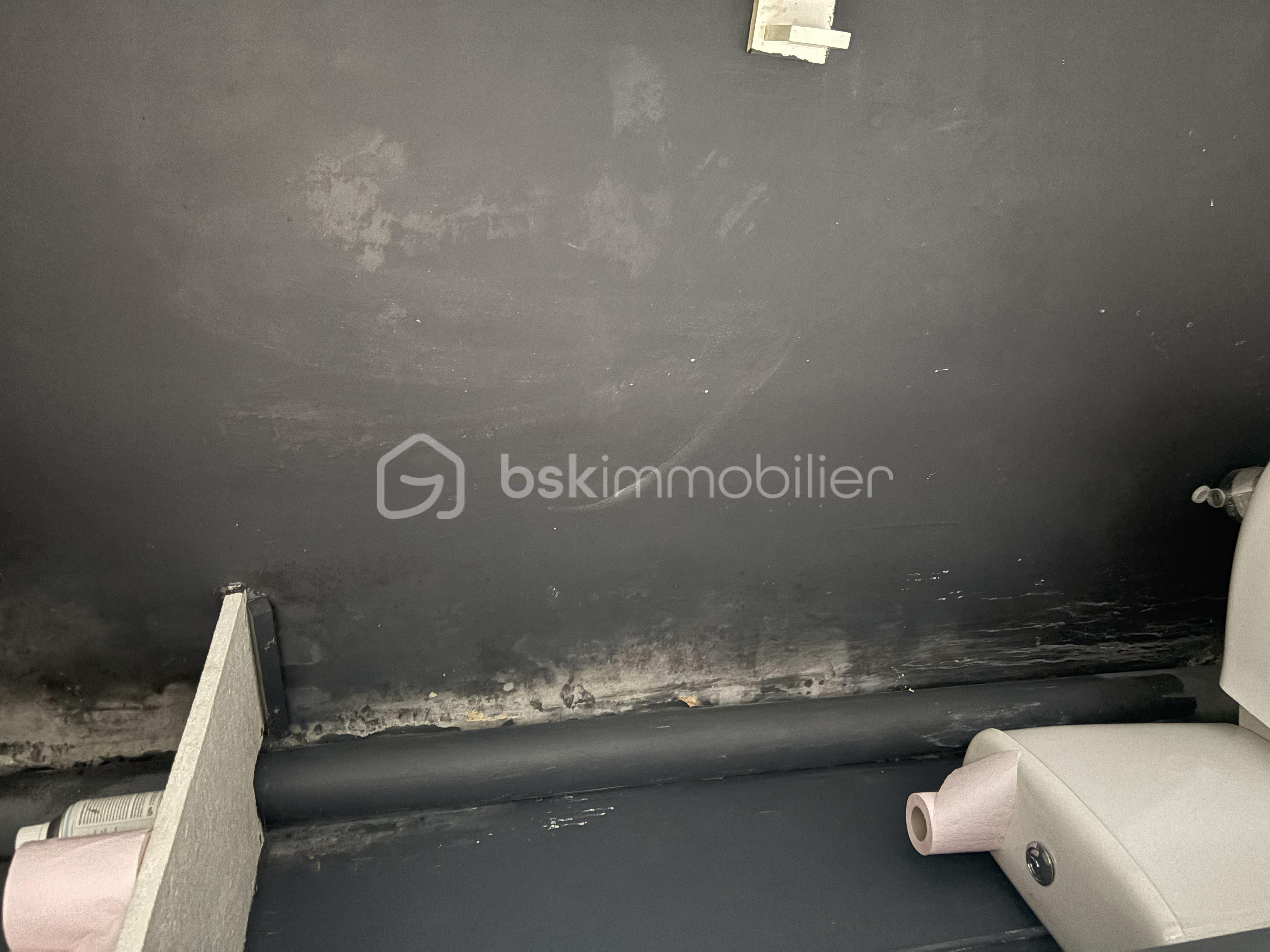 Appartement de 45 m² - tempImageZ7ok4o.png