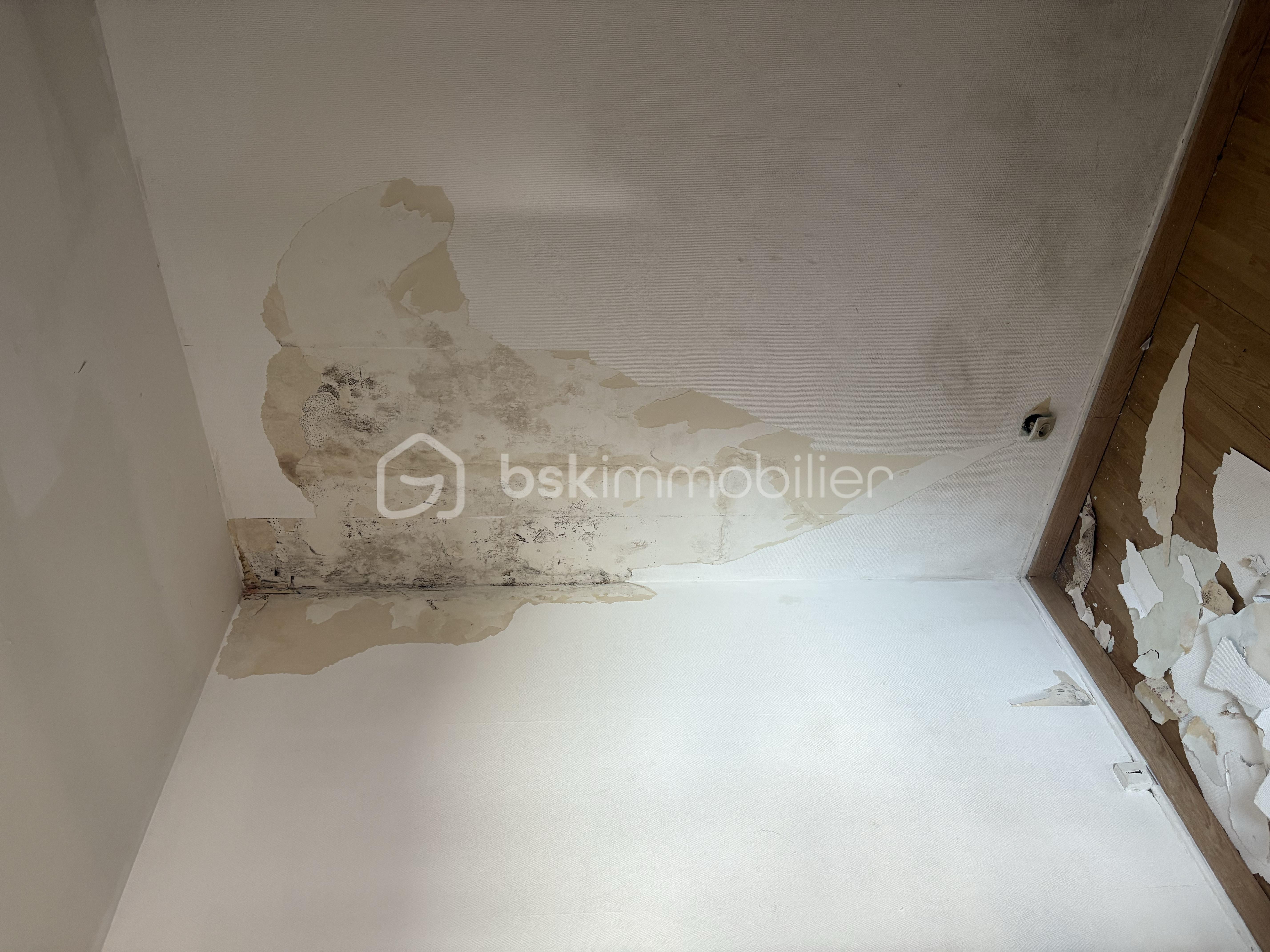 Appartement de 45 m² - tempImagevy0vRa.png