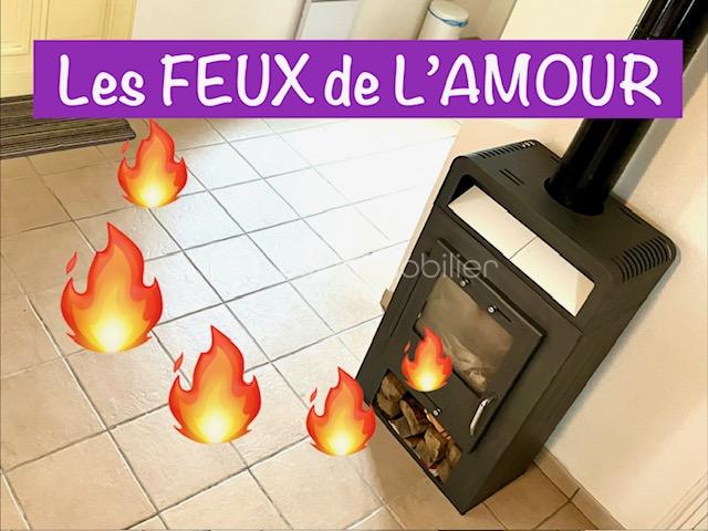 annemieke les feux de l'amour.jpeg