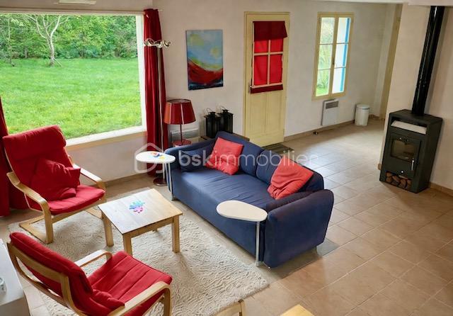 annemieke salon cheminée à droite vers jardin.jpg