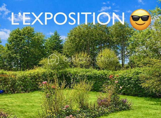 annemieke jardin exposition.jpeg