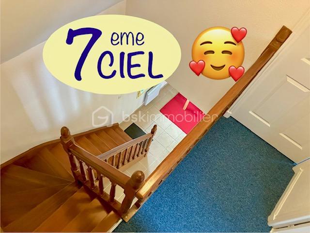 annemieke 7 eme ciel.jpeg