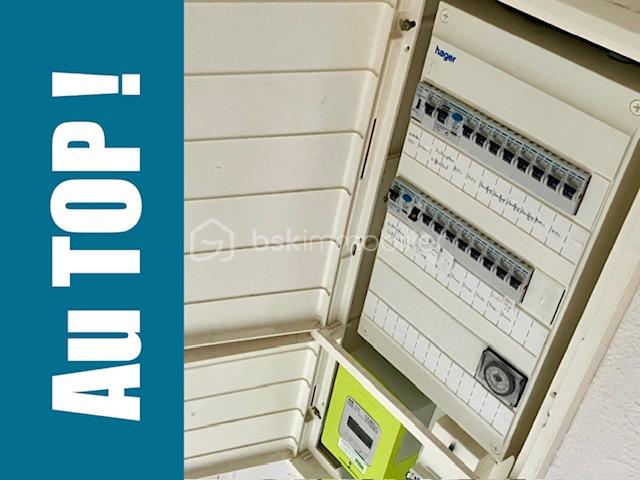 annemieke électricité.jpeg