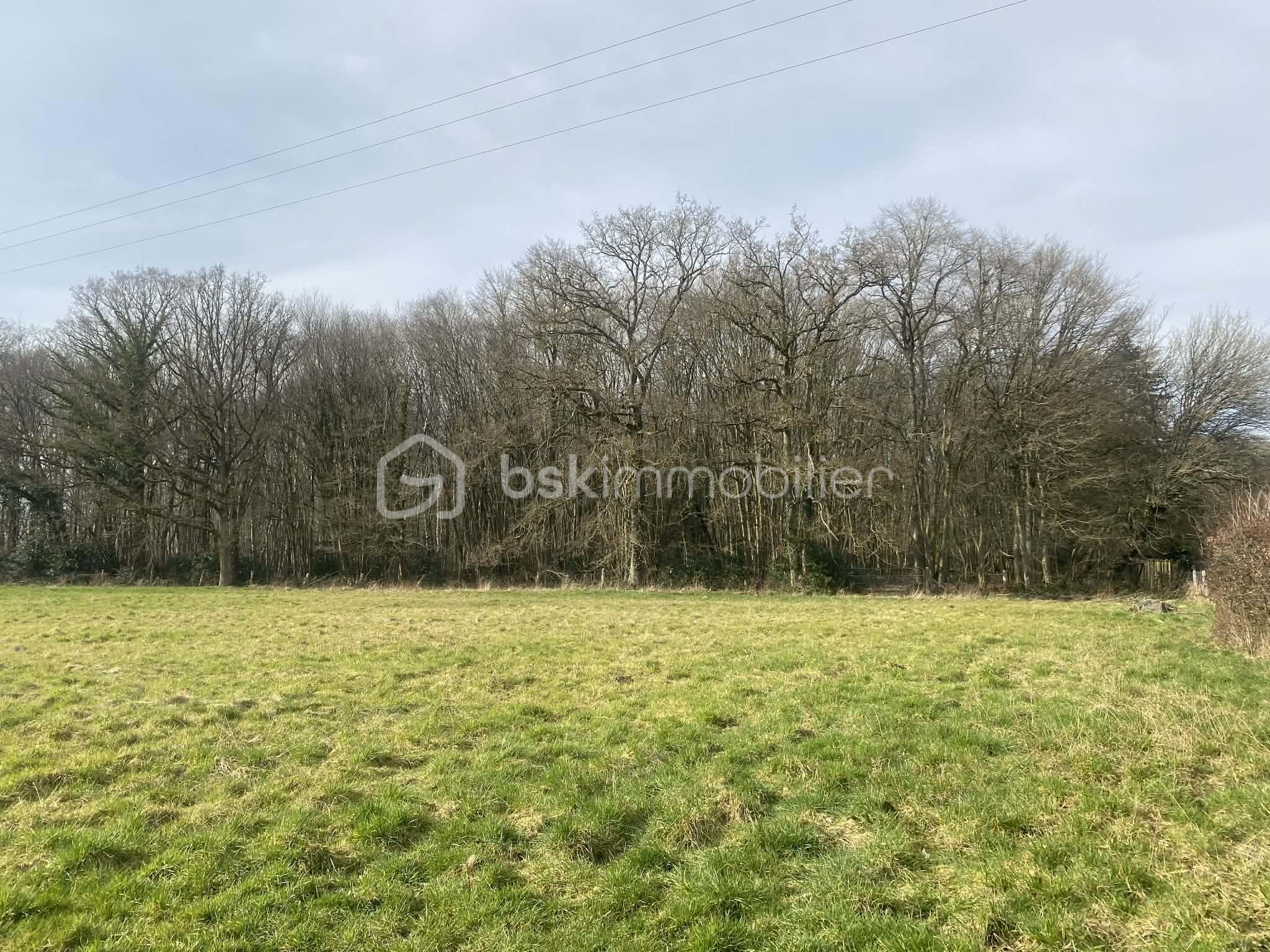 Maison ancienne de 205 m² - 9e5aed3f-0008-4719-9b69-b68617c9a225.jfif