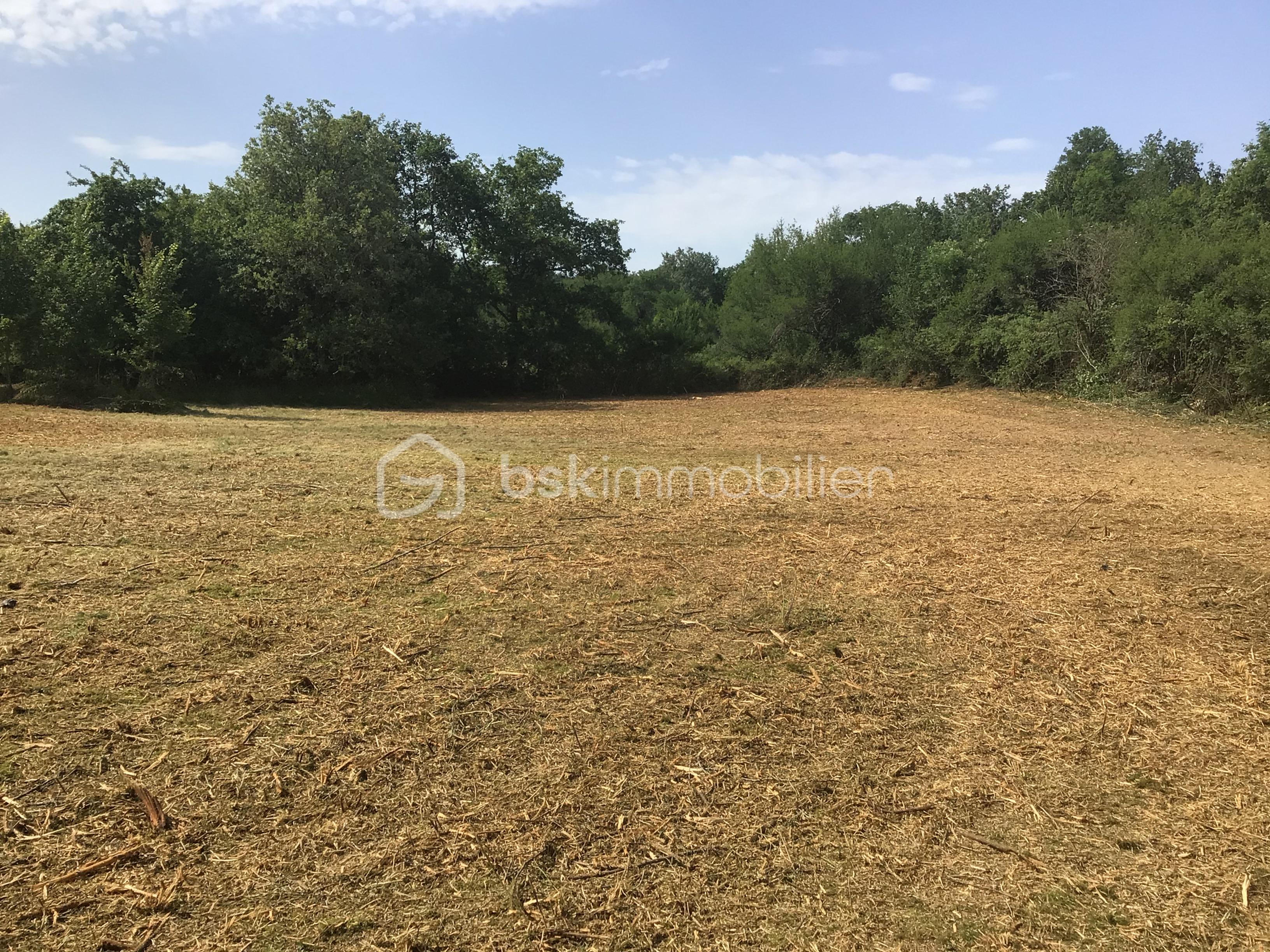 Terrain de 8 020 m² - CUBJAC 2.jpg