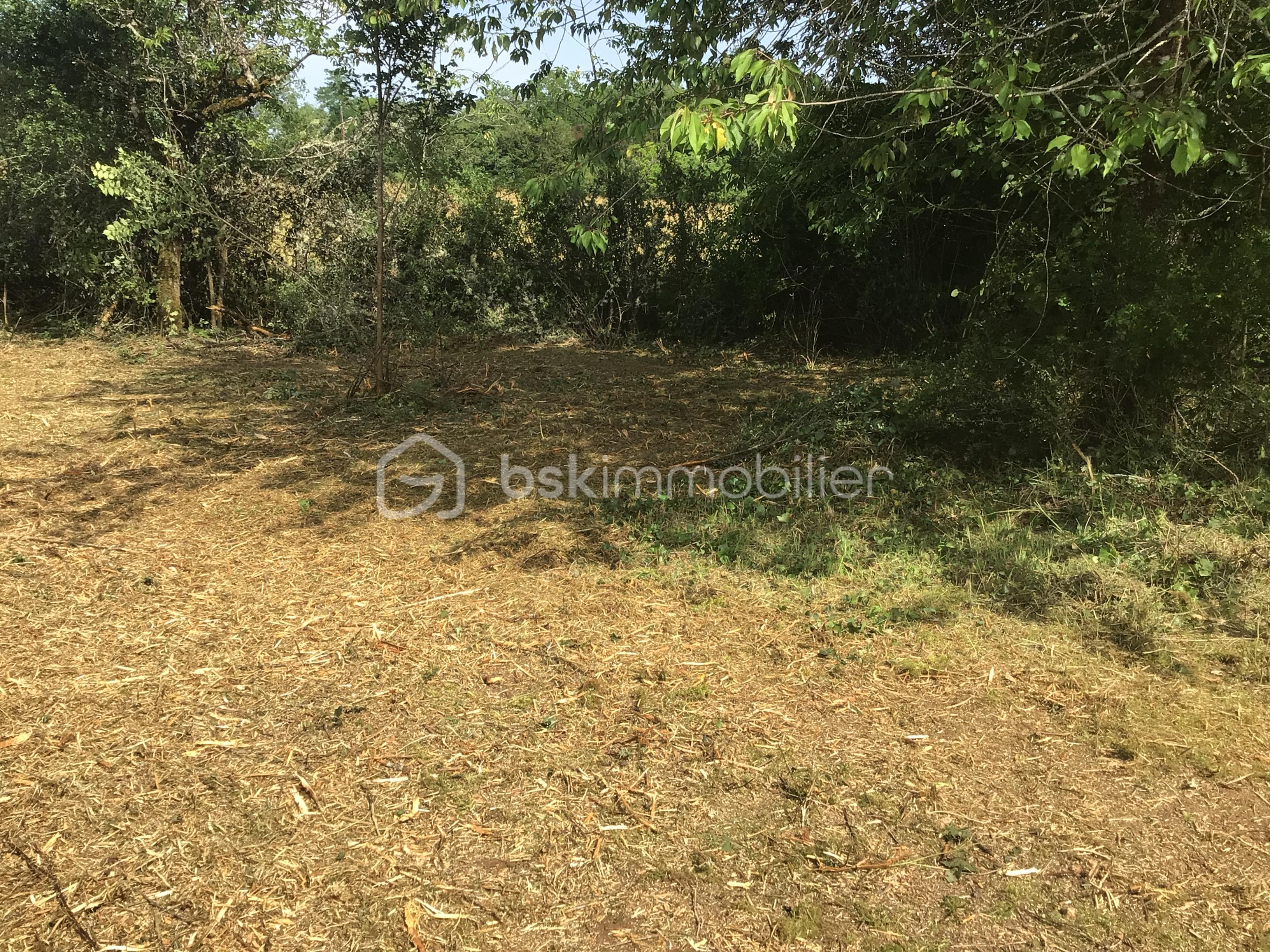 Terrain de 8 020 m² - CUBJAC 3.jpg