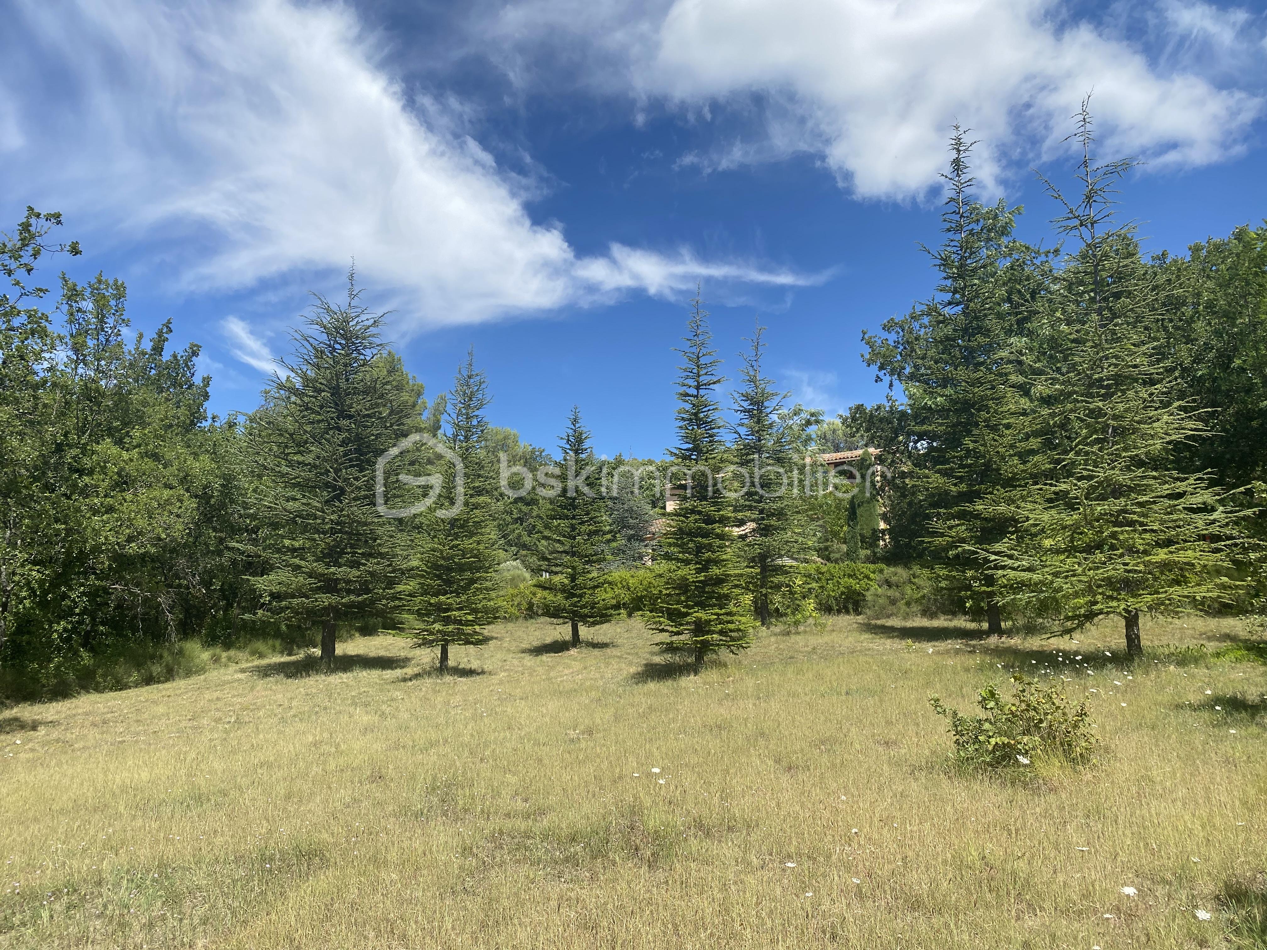 Maison traditionnelle de 133 m² - IMG_6088.jpeg