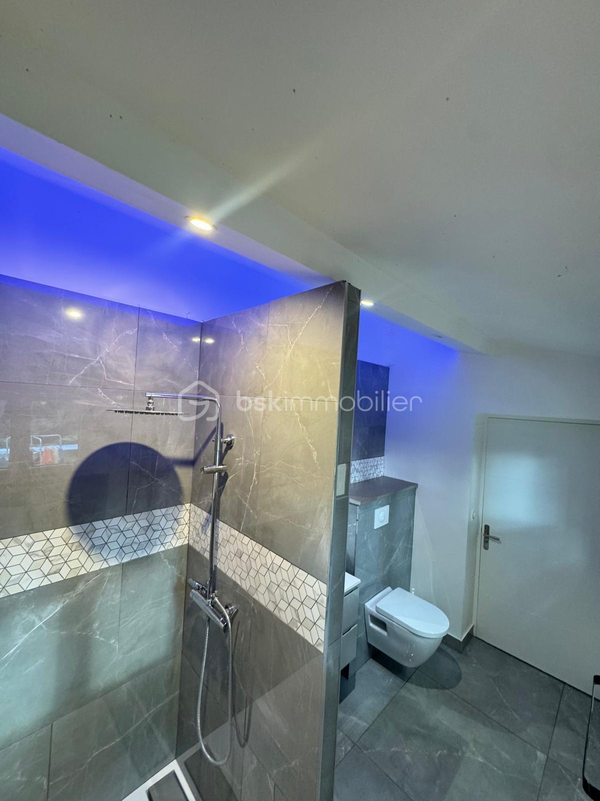 Propriete de 165 m² - sdb3.jpg