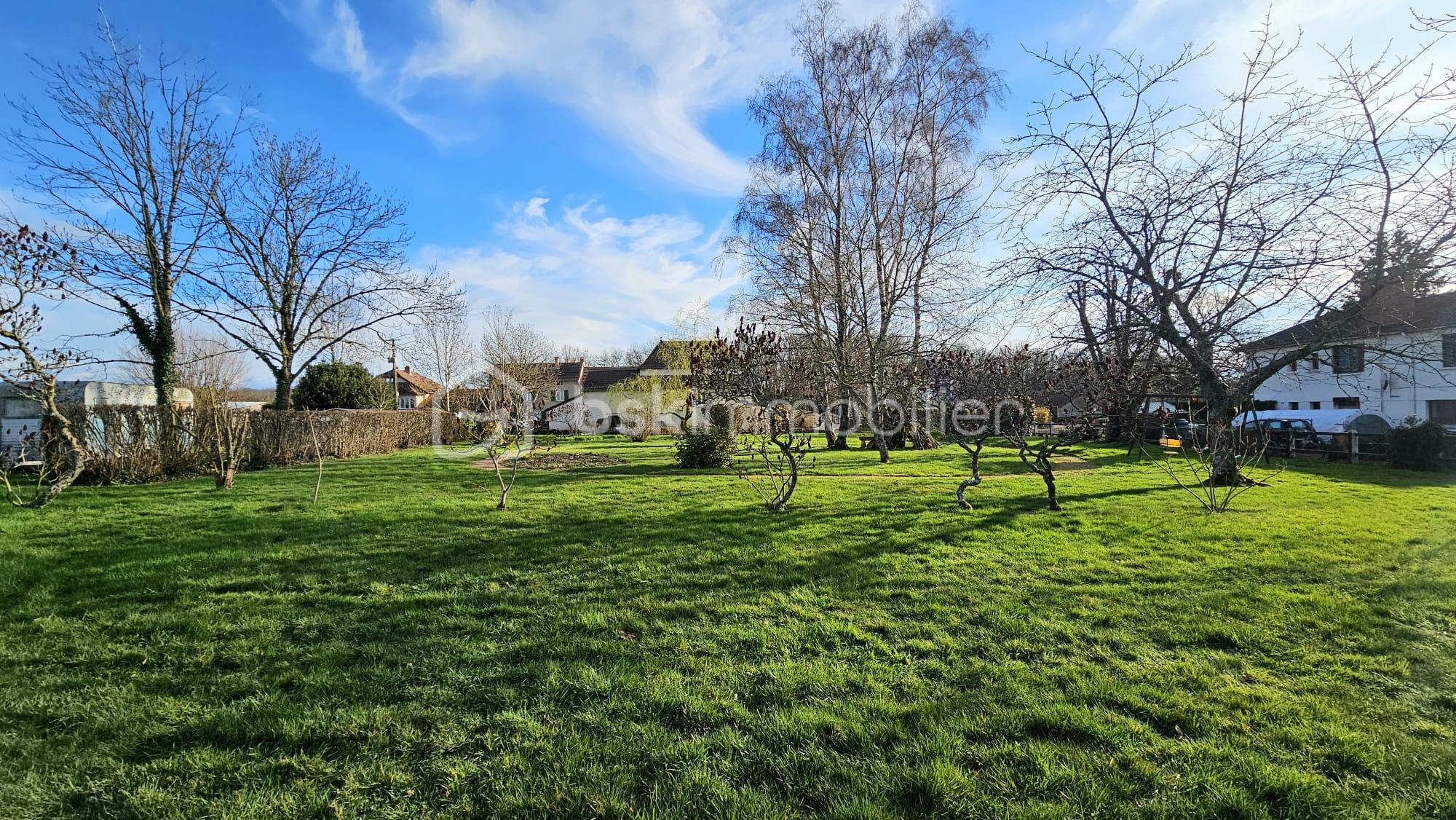 WhatsApp Image 2026-04-01 at 15.58.05(3).jpeg