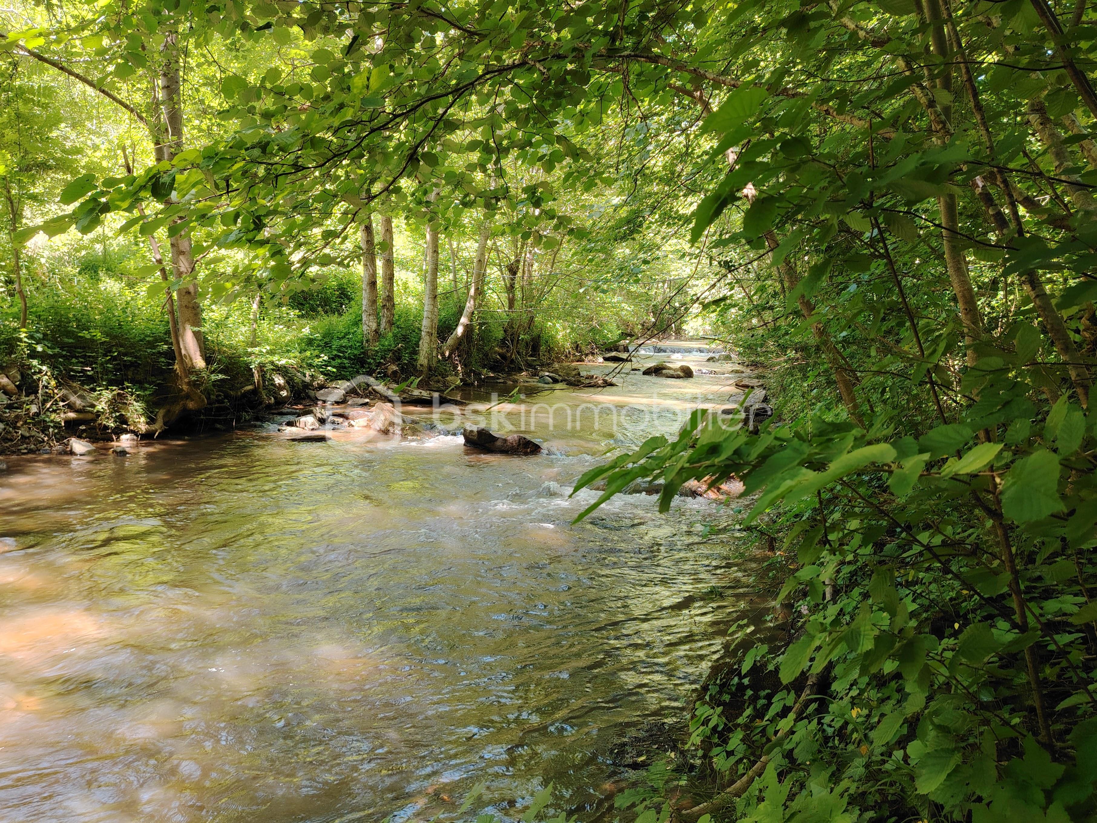 Maison de village de 40 m² - IMG_20250529_145732.jpg