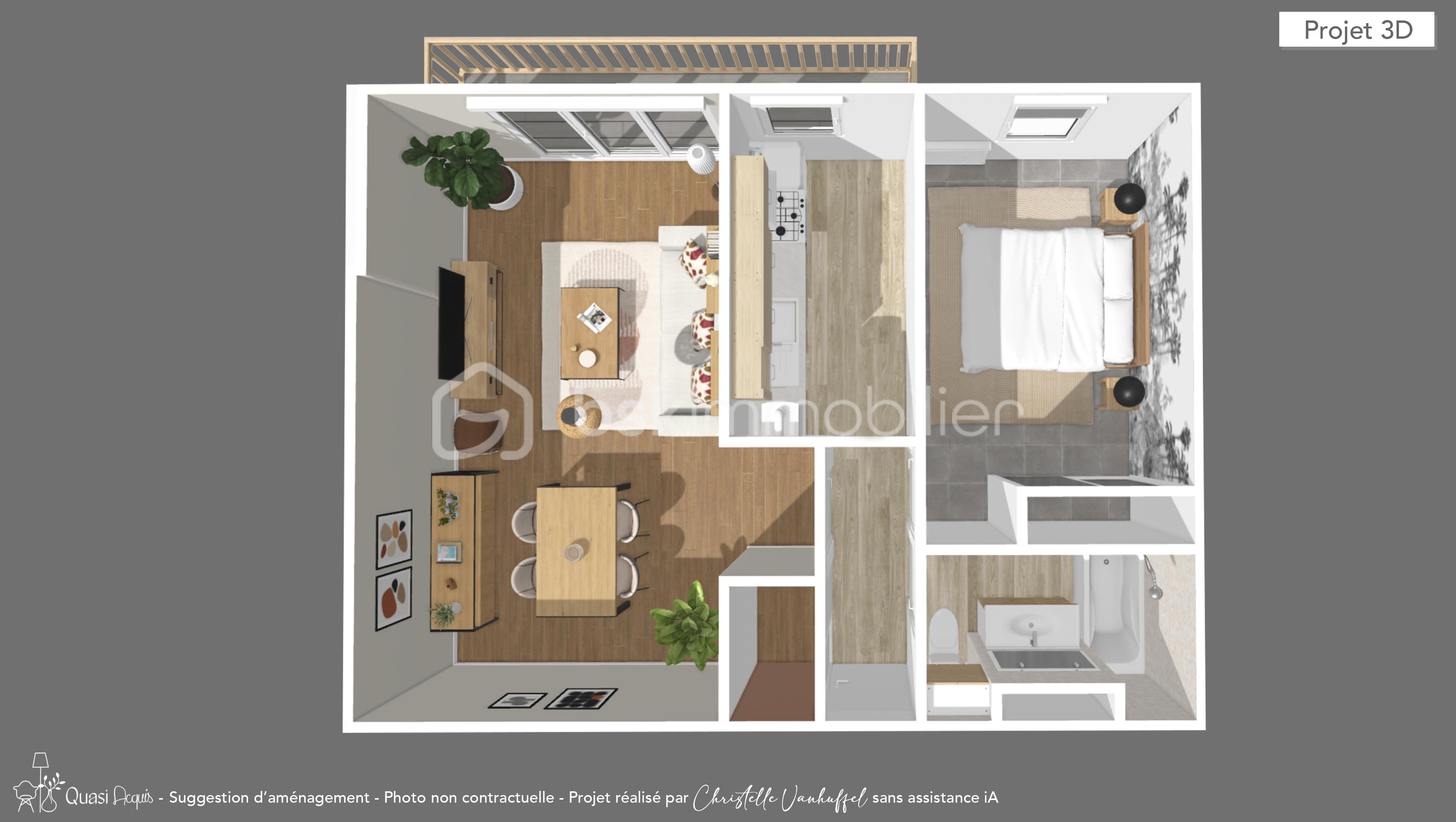 Appartement de 45,31 m² - PLAN 3D.jpg
