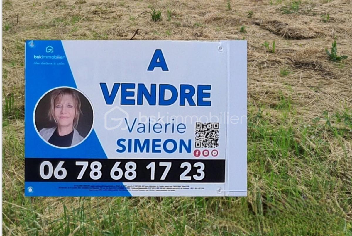 TERRAIN AVEC AFFICHE.jpg