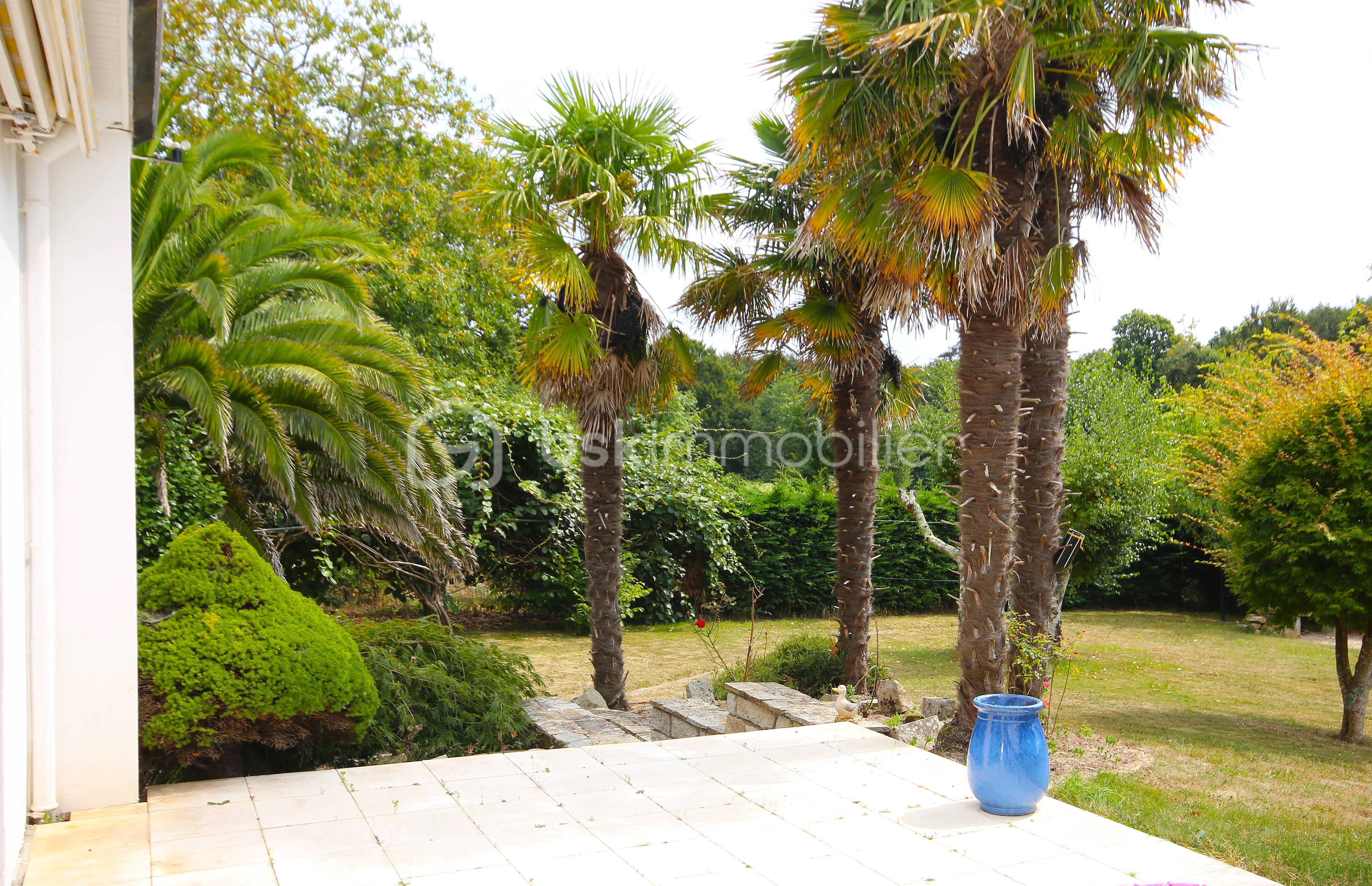 Maison de 140 m² - Palmier.JPG