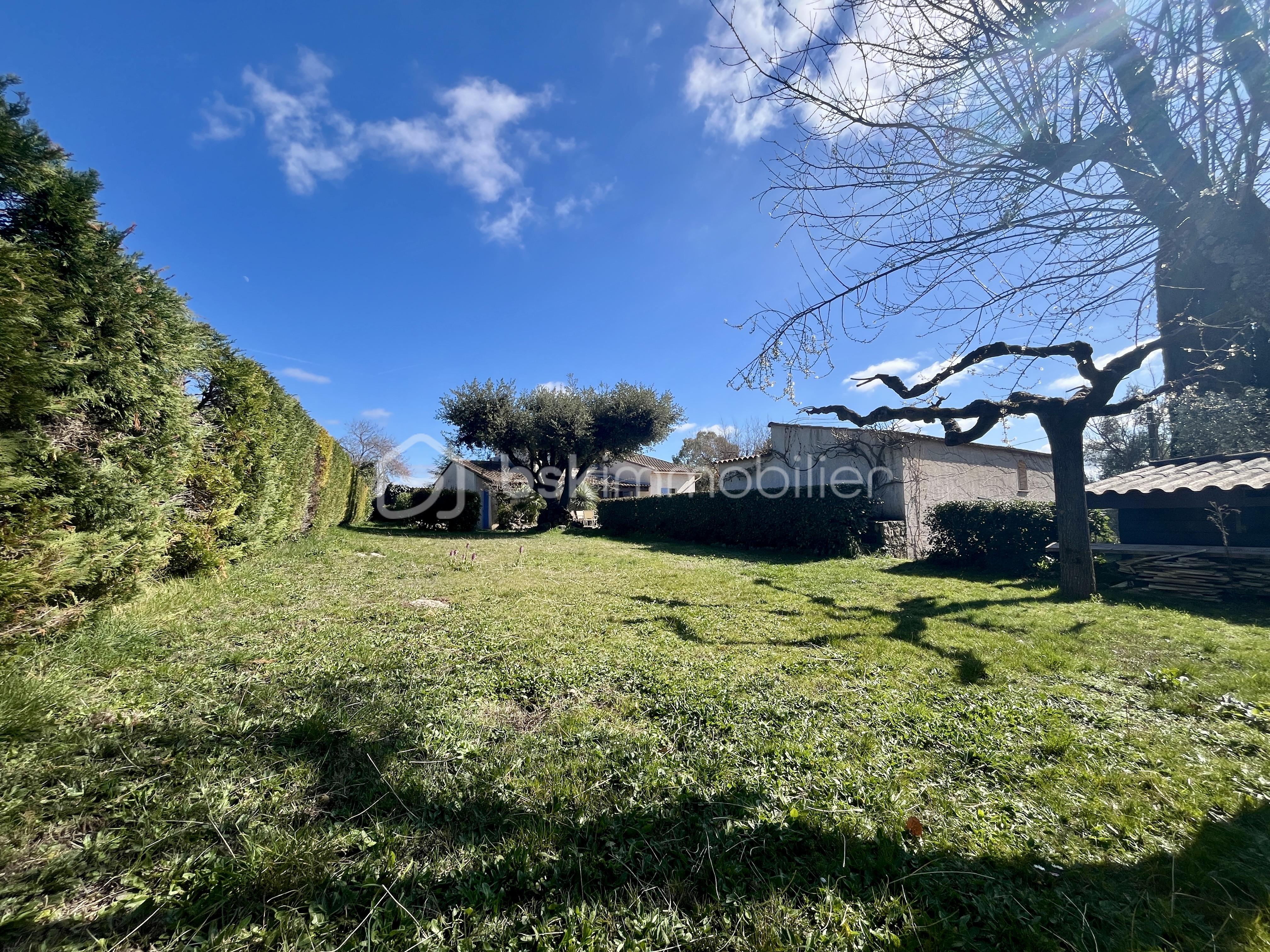 Jardin avec poolhouse et villa .jpg