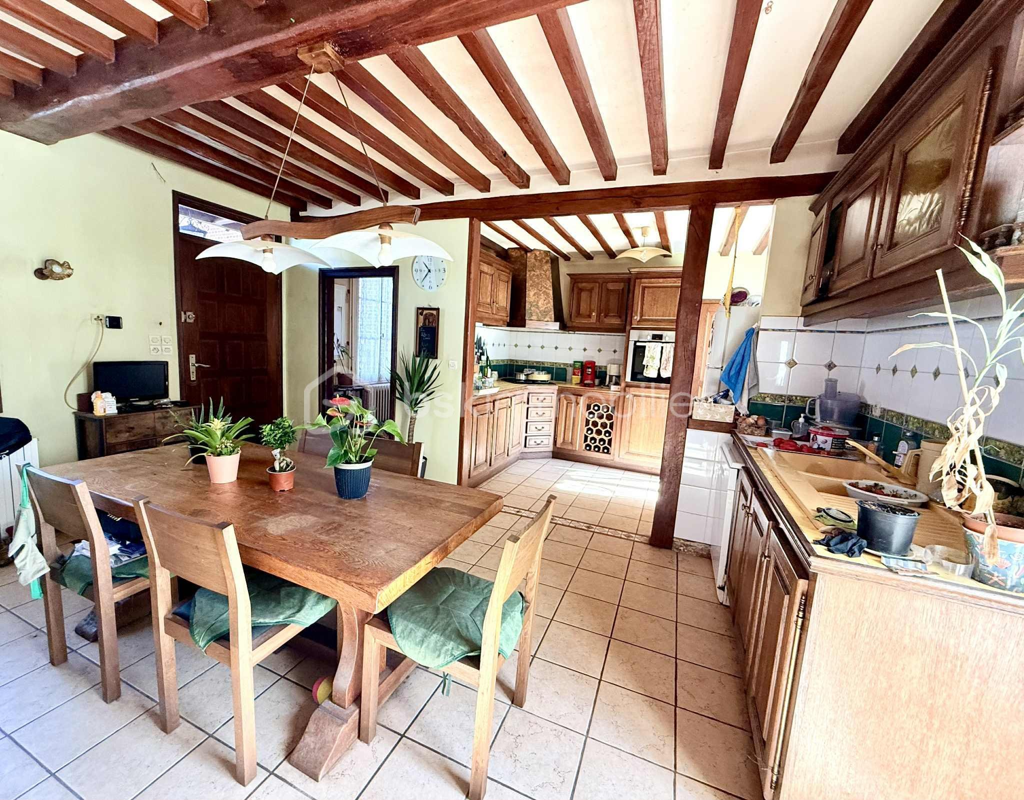 Maison de 256 m² - Cuisine 2.jpg