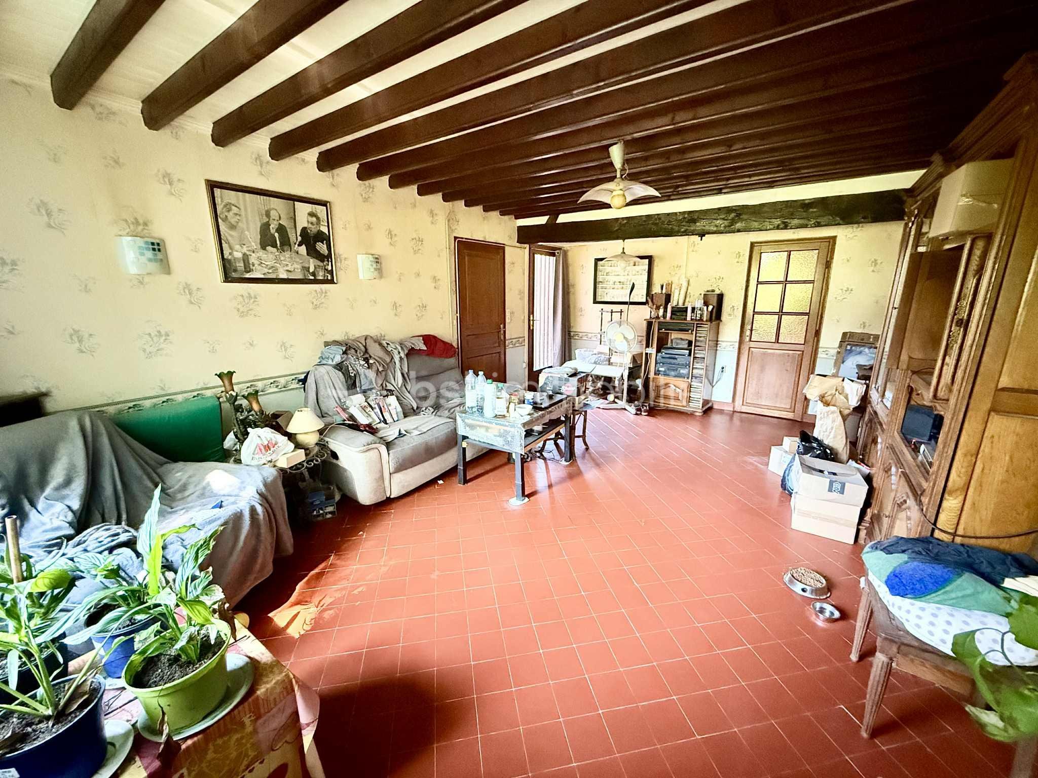 Maison de 256 m² - Salon.jpg
