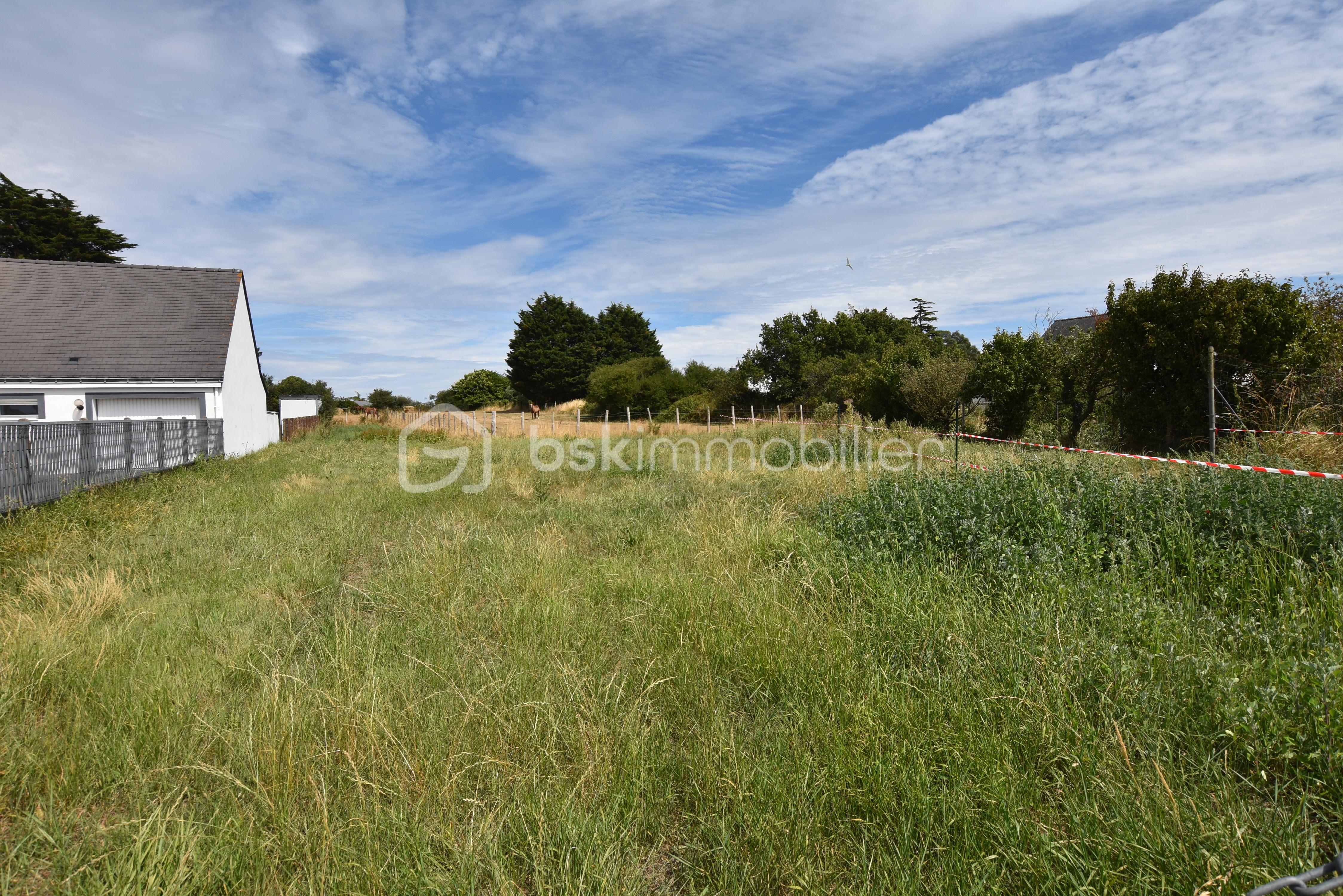 Terrain de 698 m² - DSC_0581.JPG