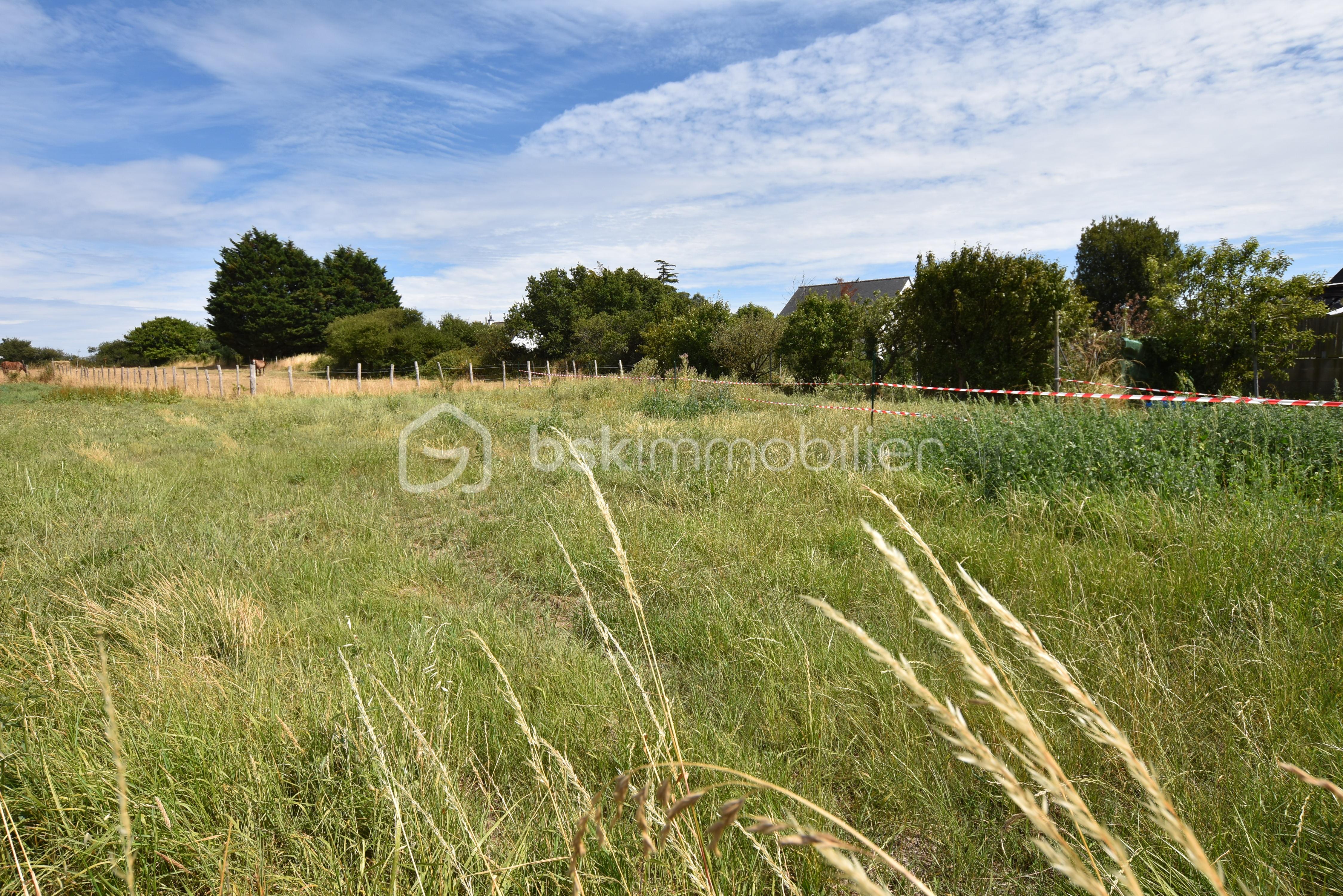 Terrain de 698 m² - DSC_0580.JPG