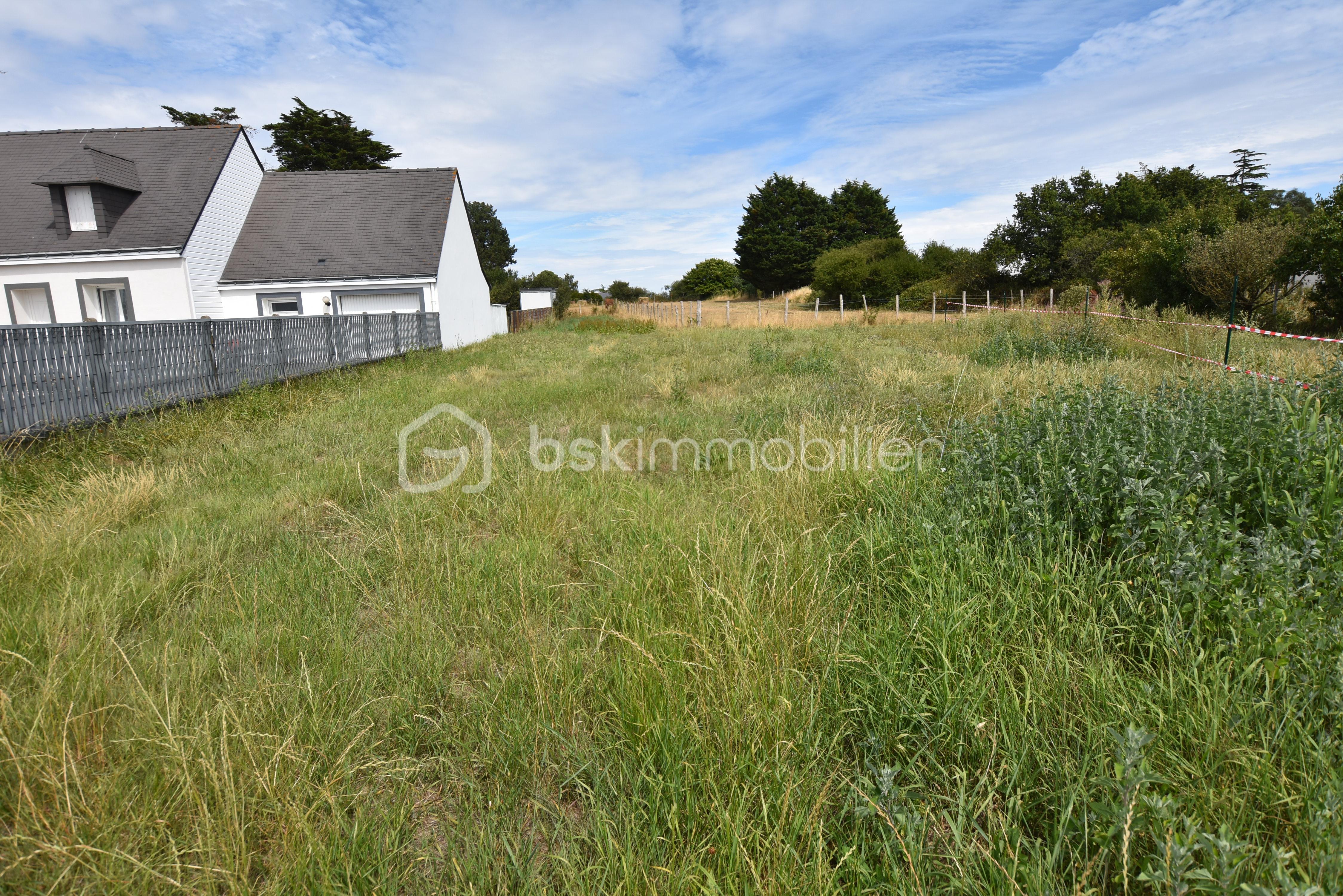 Terrain de 698 m² - DSC_0589.JPG
