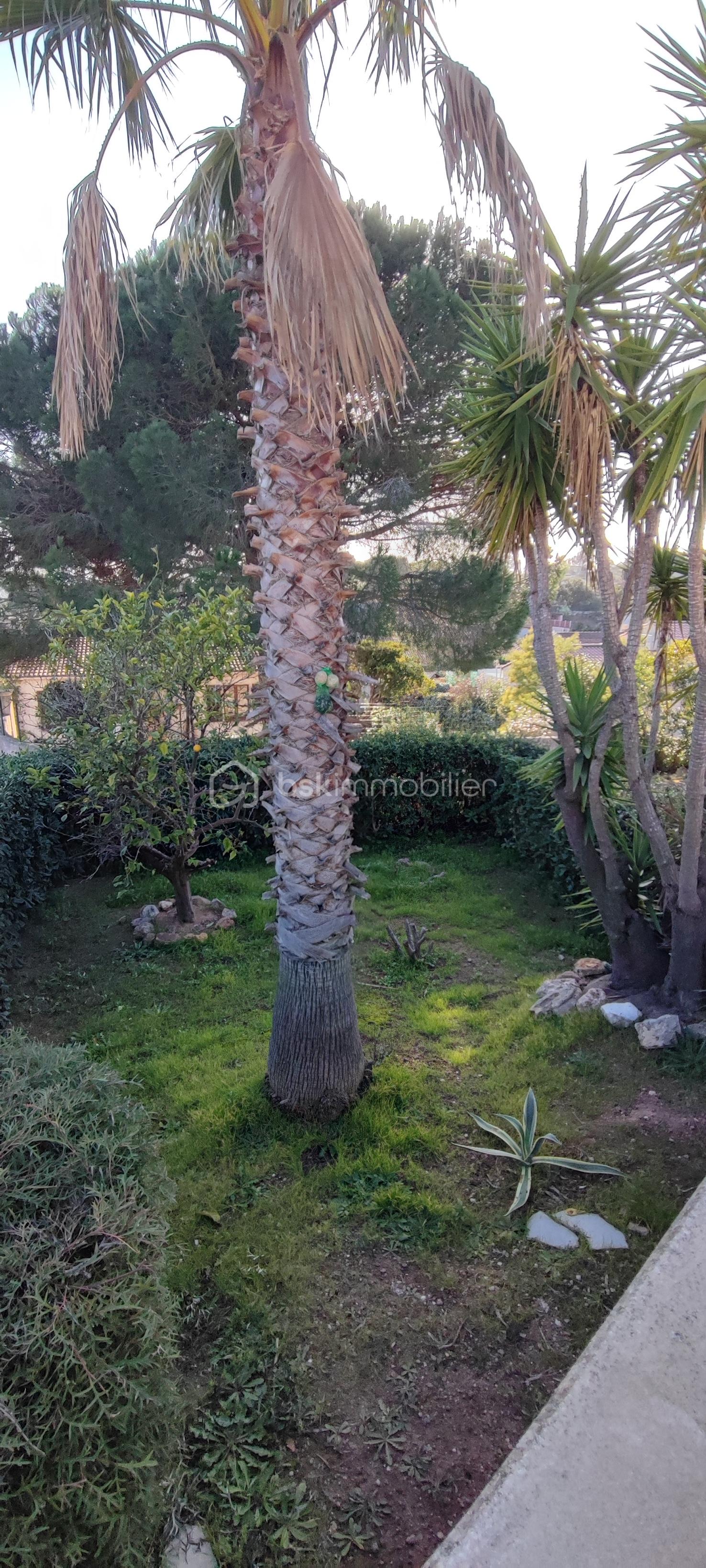 Maison traditionnelle de 99 m² - san jardin Av.jpg