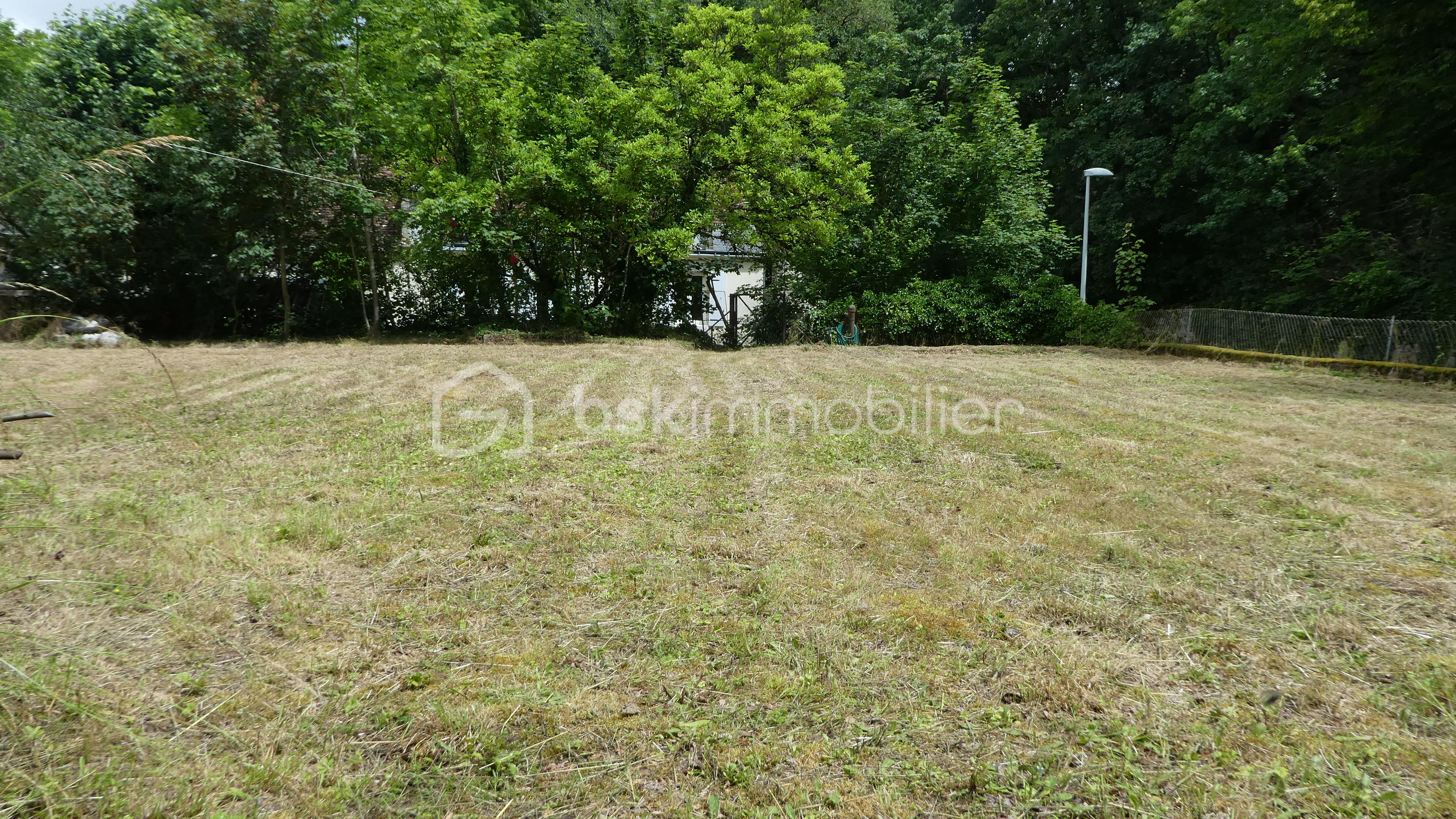 Terrain de 559,98 m² - P1050625.JPG