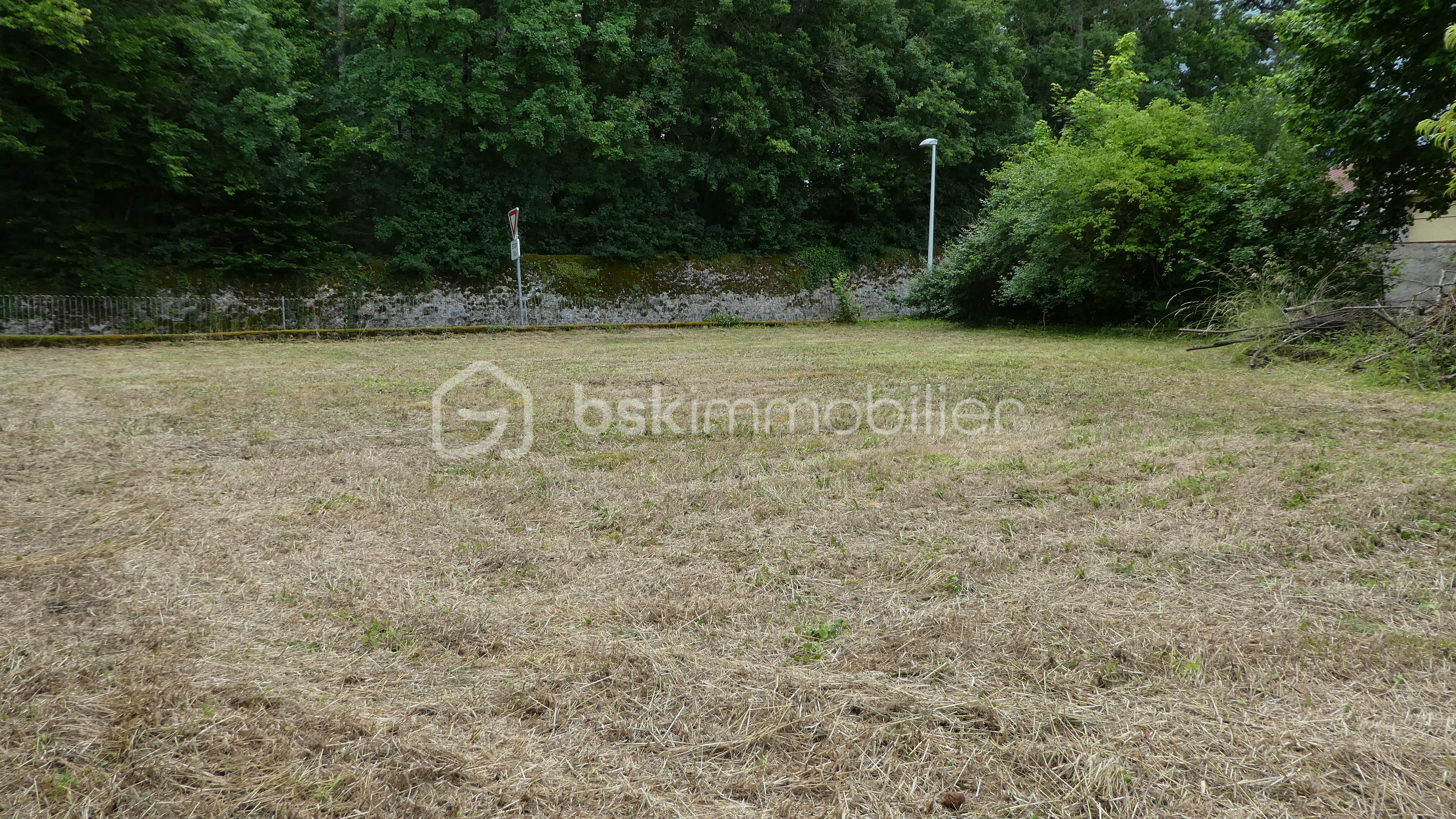 Terrain de 559,98 m² - P1050627.JPG