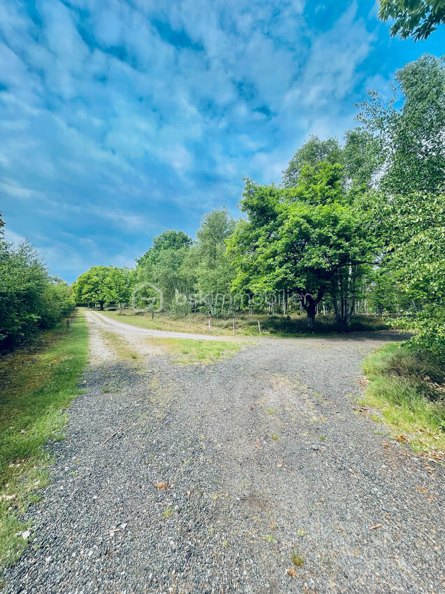 Demeure de 237 m² - CHEMIN.jpeg