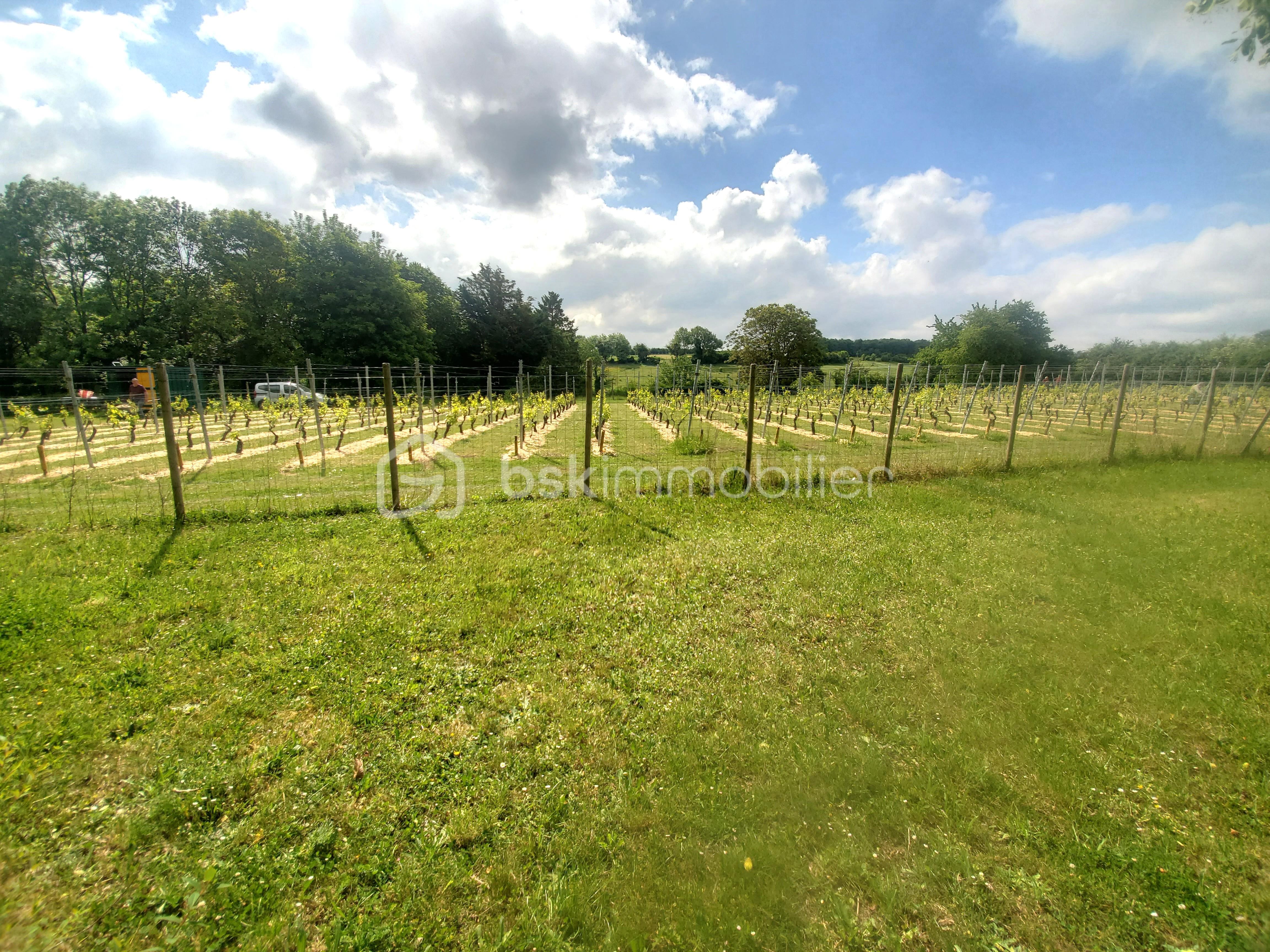 Maison traditionnelle de 122 m² - giv c vignes derrier portail fond jardin (1).jpg