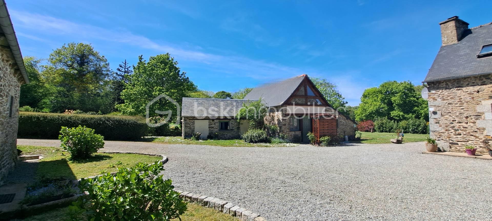 la Bergeronnette.jpg