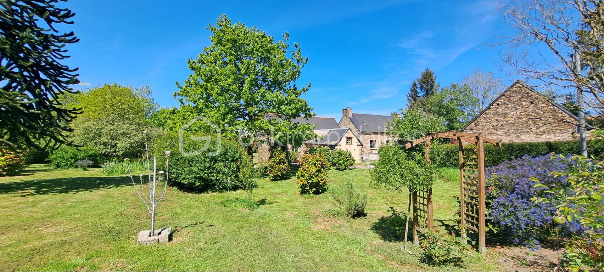 jardin avec bâtiments au loin.jpg