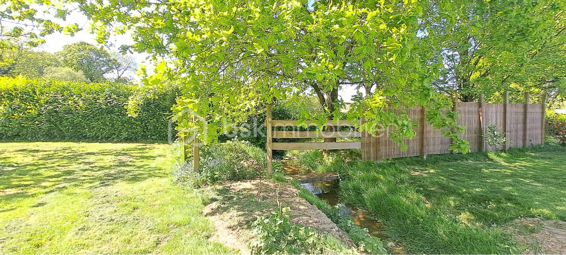 jardin avec ruisseau.jpg