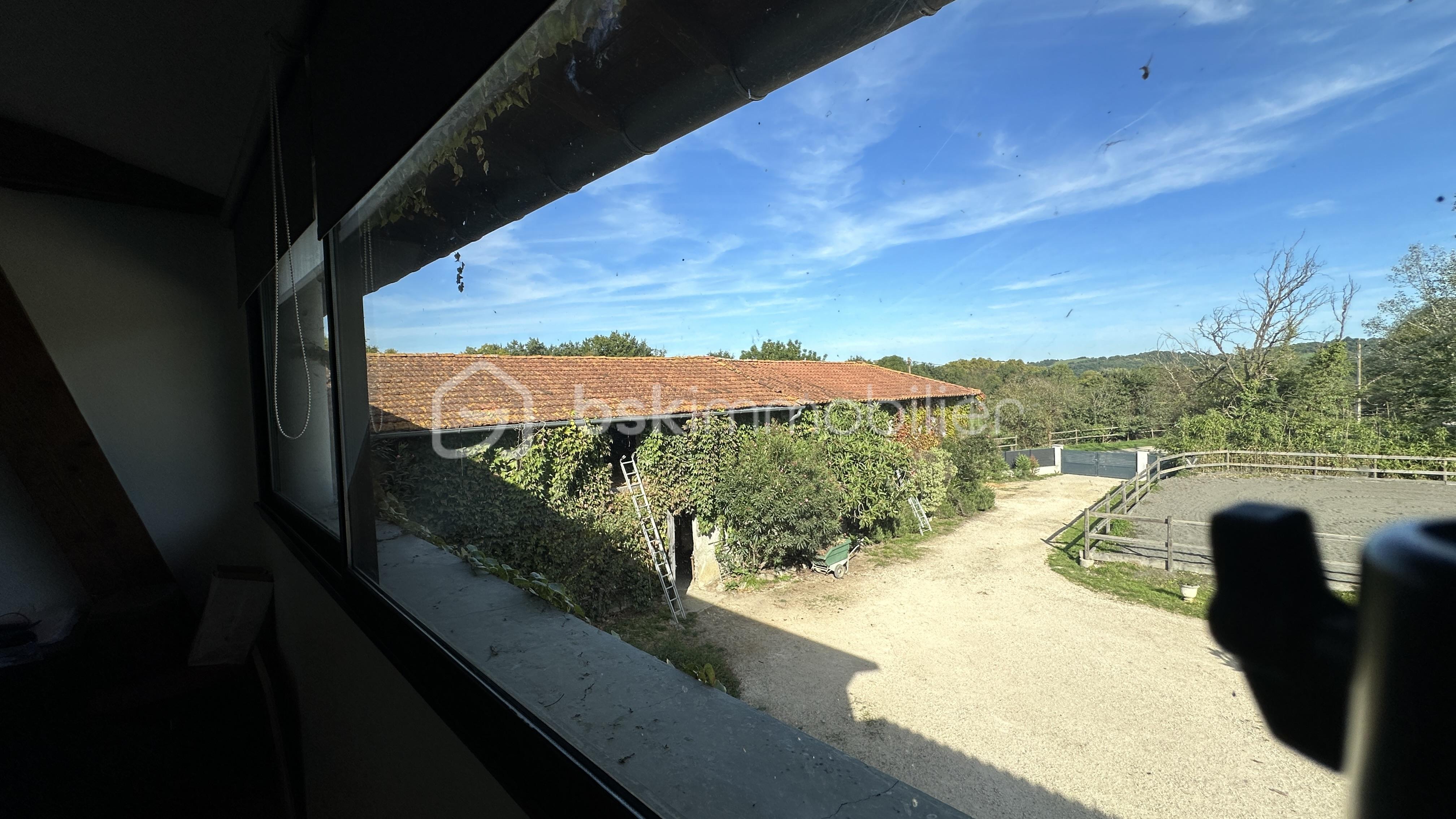 IMG_9110.jpeg