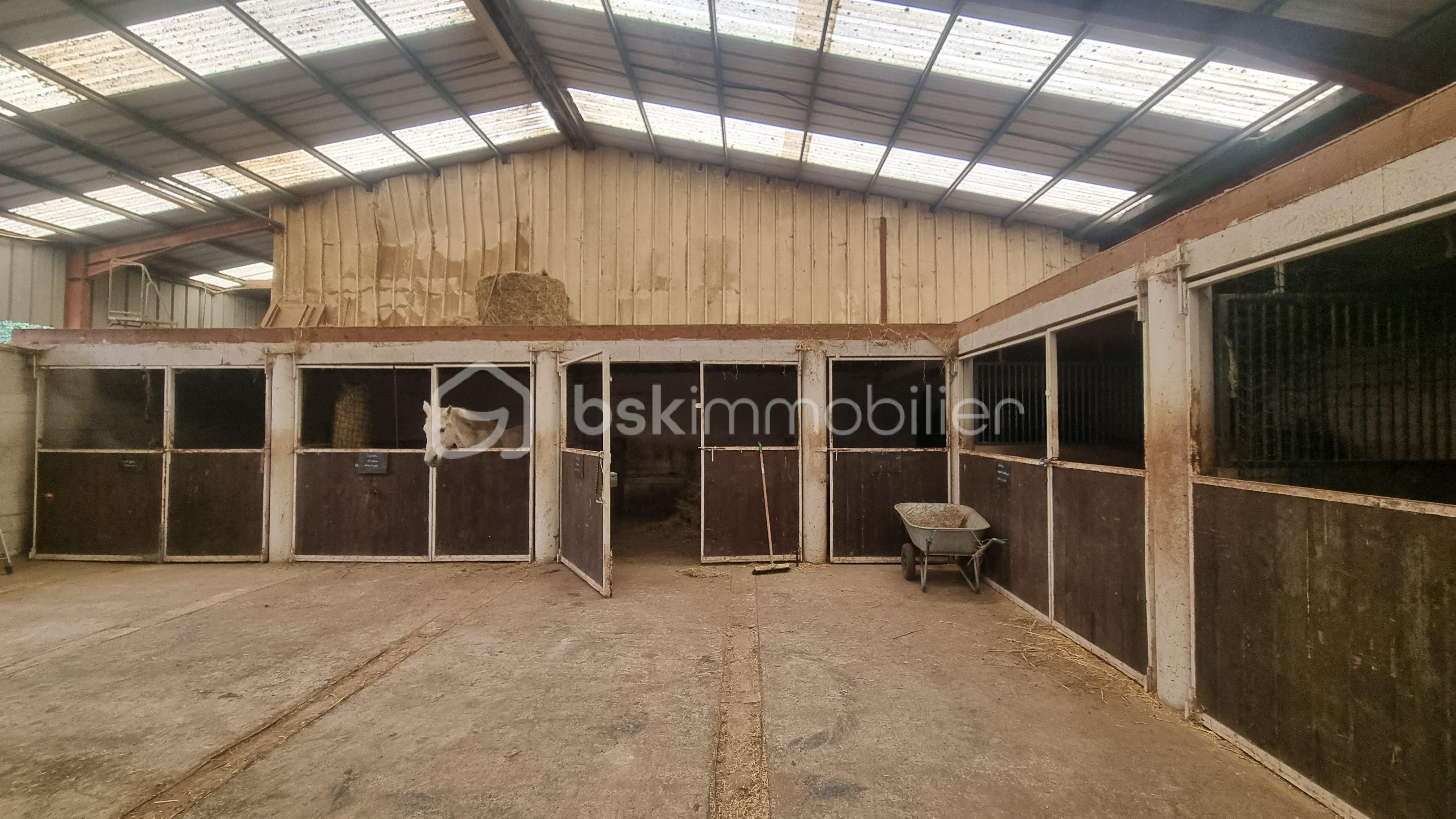 Maison de 175 m² - 6.8888.jpg