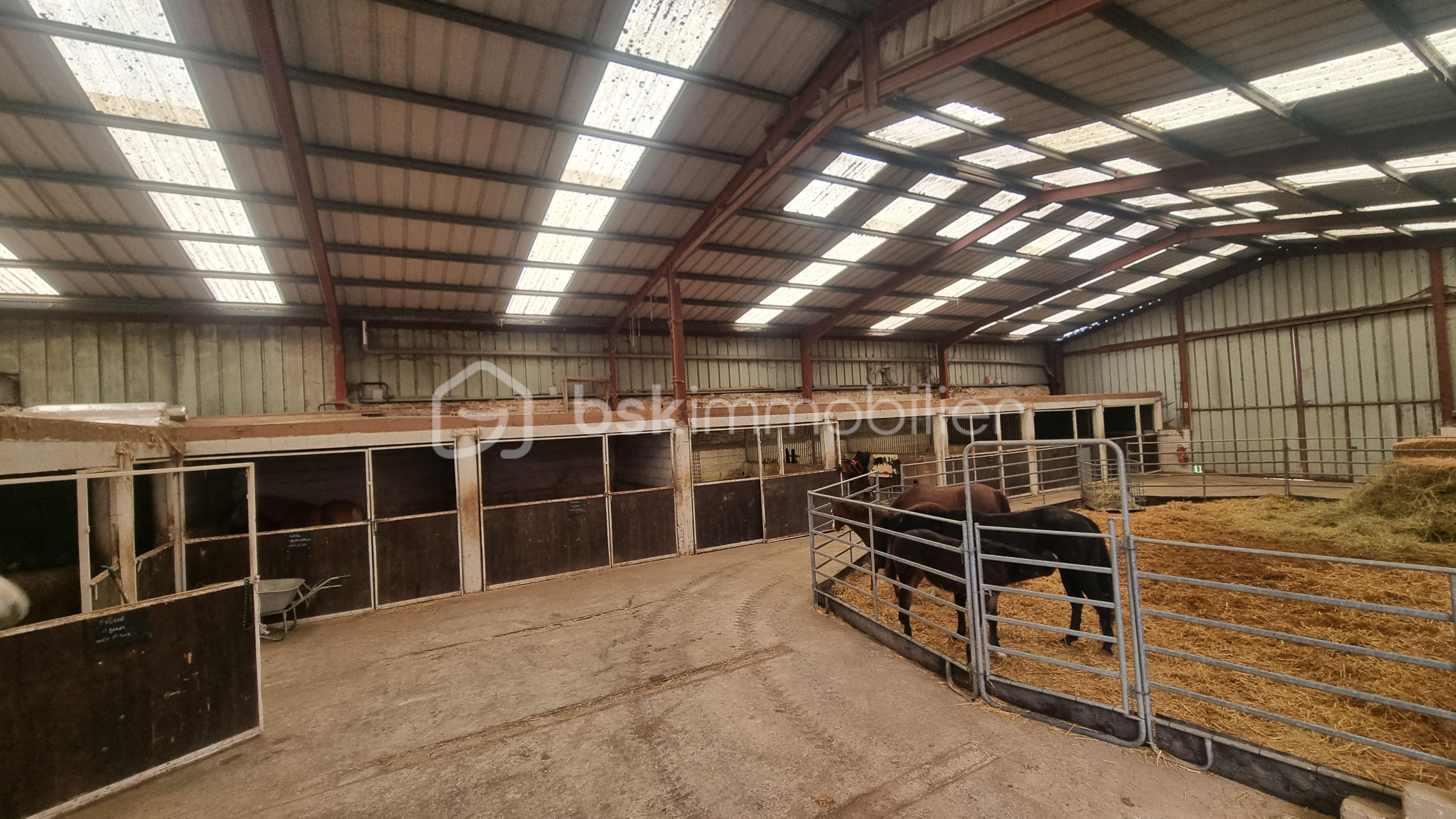 Maison de 175 m² - 8.jpg