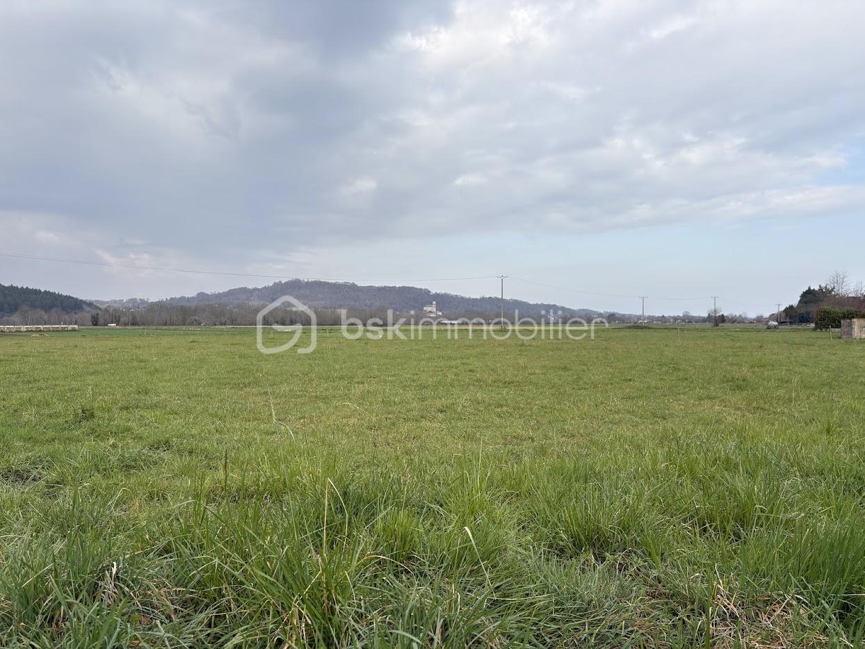 Terrain de 1 985 m² - IMG_2147.jpg