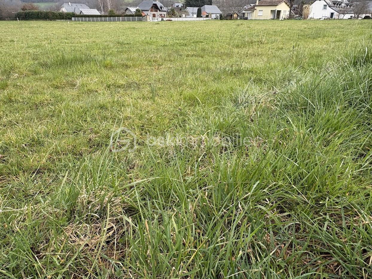 Terrain de 1 985 m² - IMG_2151.jpg