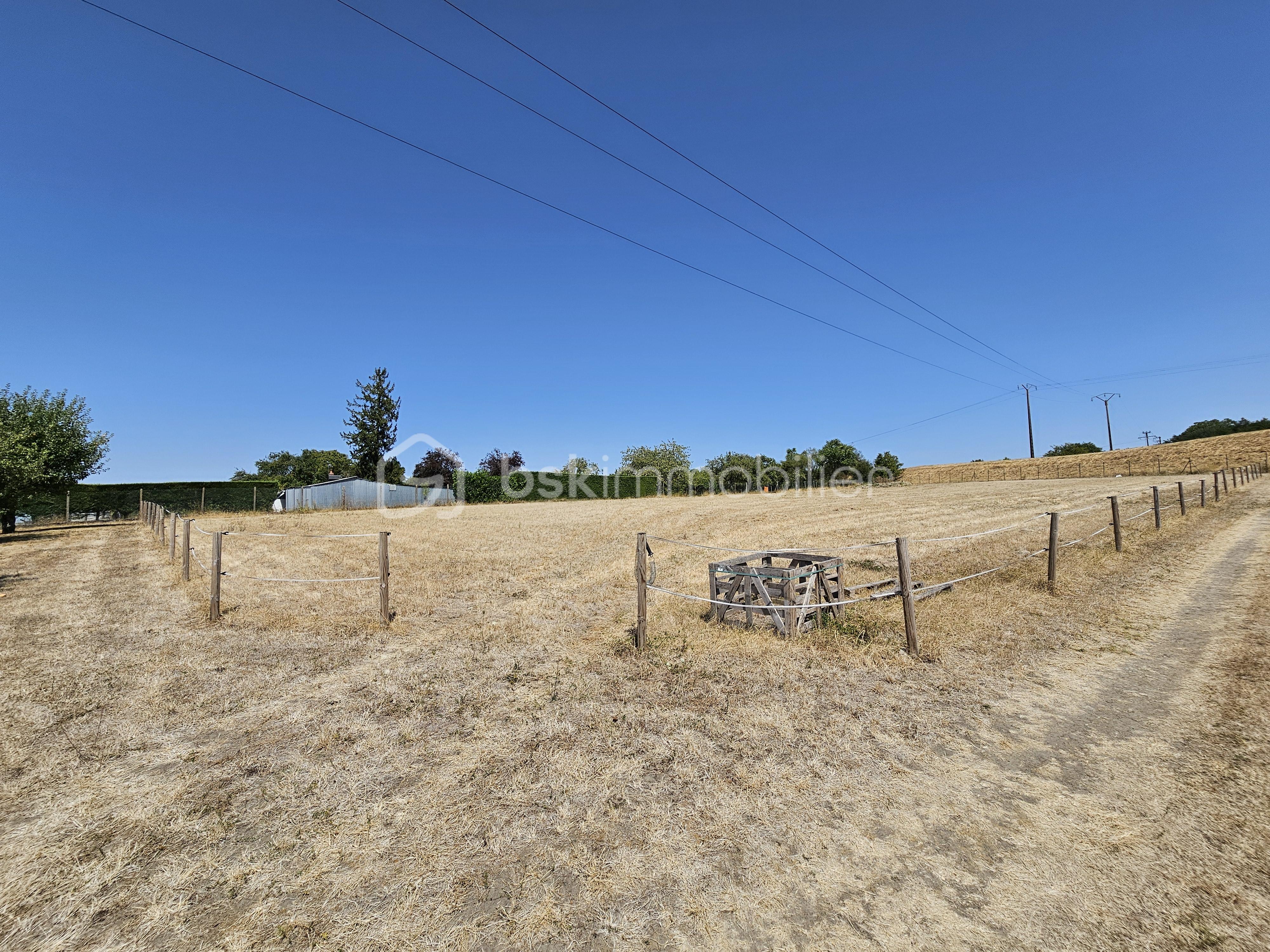 parc cheval.jpg