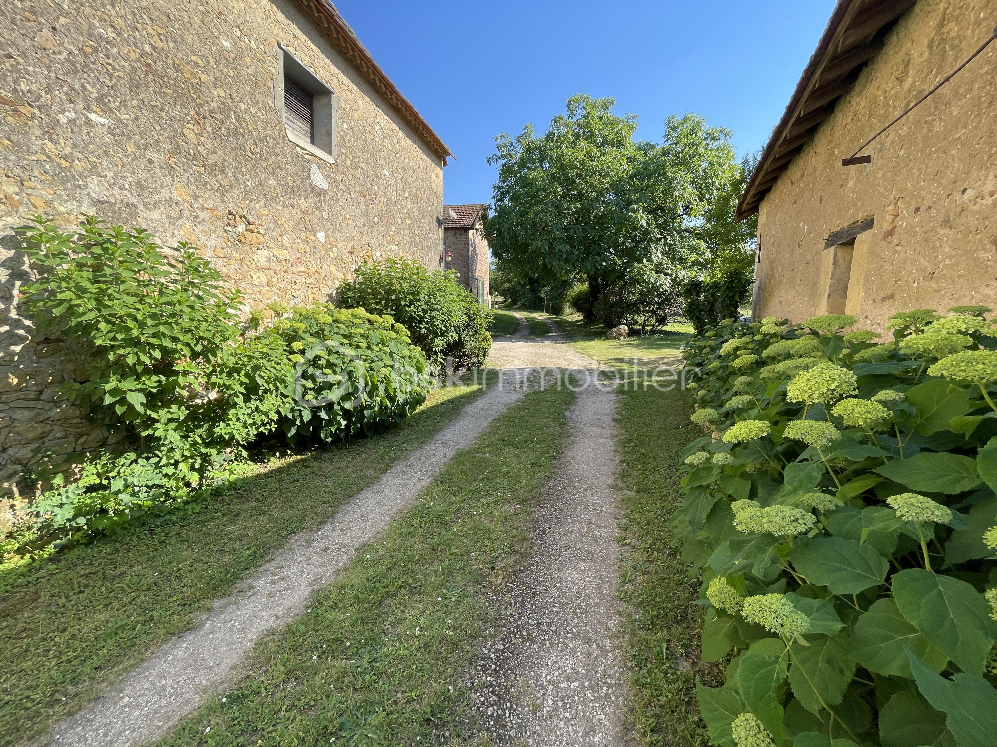 IMG_1890.jpeg