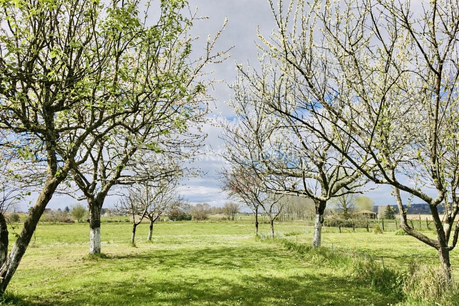 Maison en pierre de 215 m² - 201922F8-1375-4AA7-A6DE-7B0224C92E68.jpeg